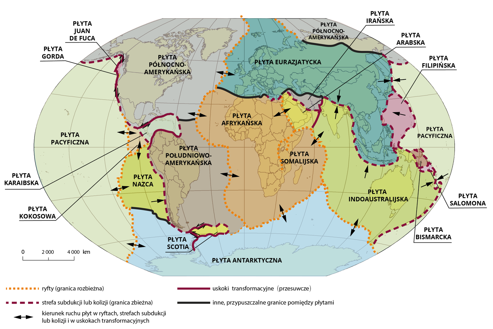 Na owalnej mapie świata zaznaczono płyty tektoniczne. Na dole, kolorem błękitnym zaznaczono Płytę Antarktyczną obejmującą kontynent Antarktyki i część oceanu wokół niej. Po jej lewej stronie żółtymi kropkami zaznaczono ryft oddzielający ją od Płyty Pacyficznej koloru jasnofioletowego, obejmującej teren Oceanu Spokojnego. Na ryfcie znajdują się strzałki obrazujące kierunek rozejścia się płyt do zewnątrz. Do Płyty Pacyficznej i Antarktycznej przylega Płyta Nazca zaznaczona żółtozielonym kolorem. Obejmuje ona teren zachodniego brzegu Ameryki Południowej. Nad nią znajdują się dwie mniejsze płyty. Płyta Kokosowa koloru różowego i Płyta Karaibska koloru błękitnego. Obejmują one tereny wokół Ameryki Środkowej. Wzdłuż zachodniego brzegu Ameryki Południowej znajduje się strefa subdukcji lub kolizji, zaznaczona fioletową, przerywaną linią. Na niej znajdują się strzałki w prawą stronę, ukazujące ruchy płyt. Za strefą zaznaczoną przerywaną fioletową linią znajduje się Płyta Południowo‑Amerykańska, zaznaczona kolorem fioletowym. Obejmuje teren Ameryki Południowej i południowo‑zachodniej części Atlantyku. Pomiędzy nią, a Płytą Antarktyczną znajduje się niewielka Płyta Scotia zaznaczona kolorem żółtym. Powyżej Płyty Południowo‑Amerykańskiej znajduje się Płyta Północno‑Amerykańska zaznaczona kolorem ciemnofioletowym. Obejmuje ona tereny Północnej Ameryki, Północnej części Rosji i północno‑zachodniego Atlantyku. Płytę Północno‑Amerykańską od Płyty Pacyficznej rozdzielają uskoki transformacyjne, zaznaczone długą ciemnofioletową linią. W okolicy granicy Stanów Zjednoczonych i Kanady, po jej zachodniej stronie zostały zaznaczone płyty: Gorda i Juana de Fucana. Po wschodniej strony Płyty Północno‑Amerykańskiej znajdują się ryfty z zaznaczonymi kierunkami ruchów płyt. Za ryftem znajduje się Płyta Eurazjatycka zaznaczona kolorem niebieskim. Obejmuje ona tereny Europy i całej Azji, wyłączając Indie, bliski Wschód i północ Rosji. Na południu od Płyty Euroazjatyckiej znajduje się płyta Afrykańska zaznaczona kolorem pomarańczowym. Na wschodzie jej częścią jest Płyta Somalijska. Płyta Afrykańska obejmuje swoim zasięgiem teren Afryki, południowo‑wschodniego Atlantyku i zachodnią część Oceanu Indyjskiego. Od innych płyt, Płyta Afrykańska oddzielona jest ryftami, na których są strzałki wskazujące ruchy płyt do zewnątrz. Na północnym wschodzie od Afryki zaznaczona jest kolorem żółtym płyta Arabska, obejmująca zasięgiem większą część Bliskiego Wschodu, od Arabii Saudyjskiej po Turcję. Między Płytą Arabską, a Eurazjatycką znajduje się niewielka Płyta Irańska, obejmująca tereny Iranu i Iraku, zaznaczona na mapie kolorem fioletowym. Płyta Afrykańska od wschodu, ryftem, graniczy z Płytą Indoaustralijską, zaznaczoną kolorem zielonożółtym. Obejmuje ona tereny Indii, Oceanu Indyjskiego i Australii. Pomiędzy północno‑wschodnią częścią Płyty Indoaustralijskiej, a Płytą Pacyficzną, znajdują się Płyta Bismarcka zaznaczona na purpurowo i niewielka Płyta Salomona zaznaczona na fioletowo. Pomiędzy płytami Eurazjatycką, a Pacyficzną wydzielona strefami subdukcji lub kolizji została Płyta Filipińska, zaznaczona na mapie kolorem różowym. Obejmuje część Filipin i Pacyfiku.
