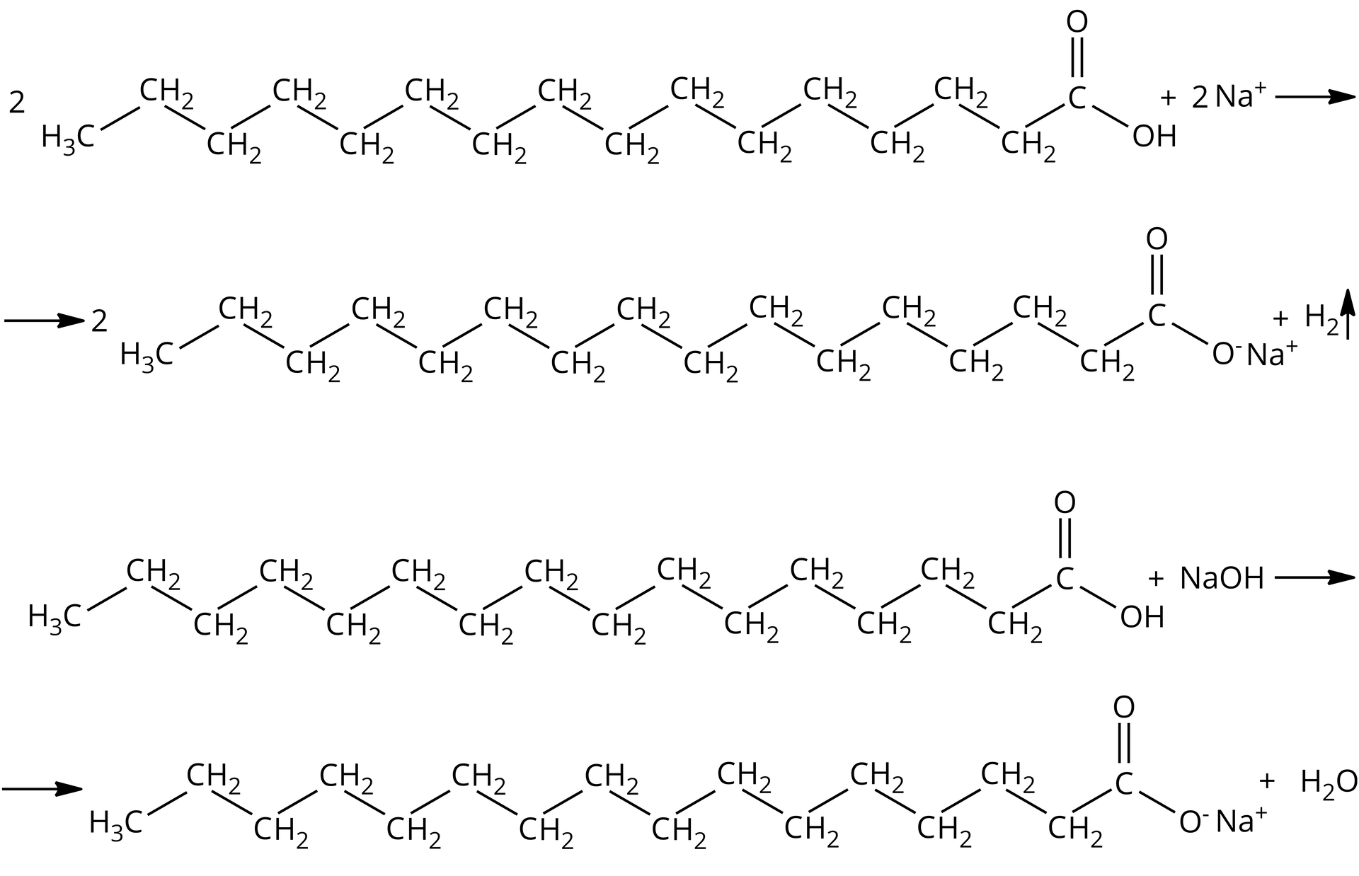 Ilustracja przedstawiająca dwa równania reakcji chemicznych. 1. Dwie cząsteczki kwasu palmitynowego o w strukturze grupa CH3 połączona z łańcuchem węglowym składającym się z czternastu grup CH2, z których ostatnia łączy się z atomem węgla połączonym za pomocą wiązania podwójnego z atomem tlenu oraz z grupą hydroksylową. Dodać dwa atomy sodu Na. Strzałka w prawo, za strzałką dwie cząsteczki palmitynianu sodu o strukturze grupa CH3 połączona z łańcuchem składającym się z czternastu grupa CH2, z których ostatnia łączy się z atomem węgla, który to związany jest za pomocą wiązania podwójnego z atomem tlenu oraz za pomocą wiązania pojedynczego z atomem tlenu obdarzonym ładunkiem ujemnym oznaczonym minusem. Obok kation sodowy Na+, dodać cząsteczka wodoru H2, strzałka w górę, oznaczająca wydzielanie gazowego wodoru. 2. Cząsteczka kwasu palmitynowego o w strukturze grupa CH3 połączona z łańcuchem węglowym składającym się z czternastu grup CH2, z których ostatnia łączy się z atomem węgla połączonym za pomocą wiązania podwójnego z atomem tlenu oraz z grupą hydroksylową. Dodać cząsteczka wodorotlenku sodu NaOH. Strzałka w prawo, za strzałką cząsteczka palmitynianu sodu o strukturze grupa CH3 połączona z łańcuchem składającym się z czternastu grupa CH2, z których ostatnia łączy się z atomem węgla, który to związany jest za pomocą wiązania podwójnego z atomem tlenu oraz za pomocą wiązania pojedynczego z atomem tlenu obdarzonym ładunkiem ujemnym oznaczonym minusem. Obok kation sodowy Na+, dodać cząsteczka wody H2O.