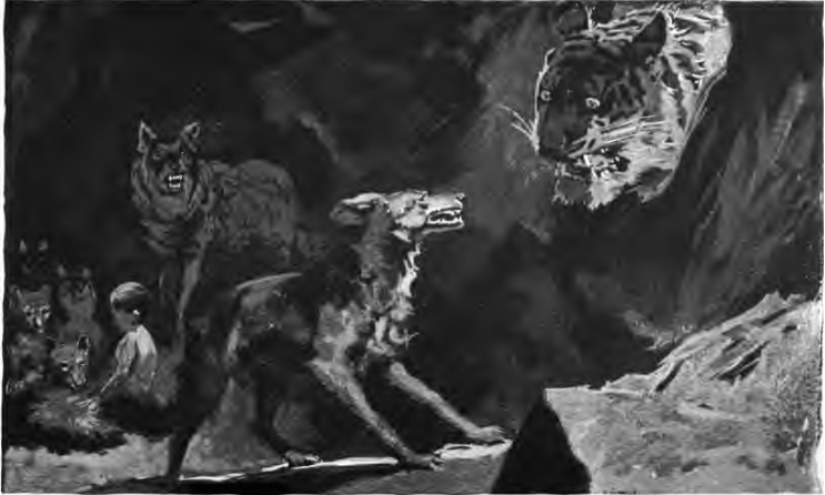 Ilustracja przedstawia dzikie zwierzęta. W prawym, górnym rogu widoczna jest głowa tygrysa, który dziko spogląda na wilka stojącego na wprost tygrysa. W tle widoczny jest drugi, najeżony wilk, który stoi przy małych wilczętach, które stłoczone są wokół małego chłopca. Ilustracja jest czarno‑biała.