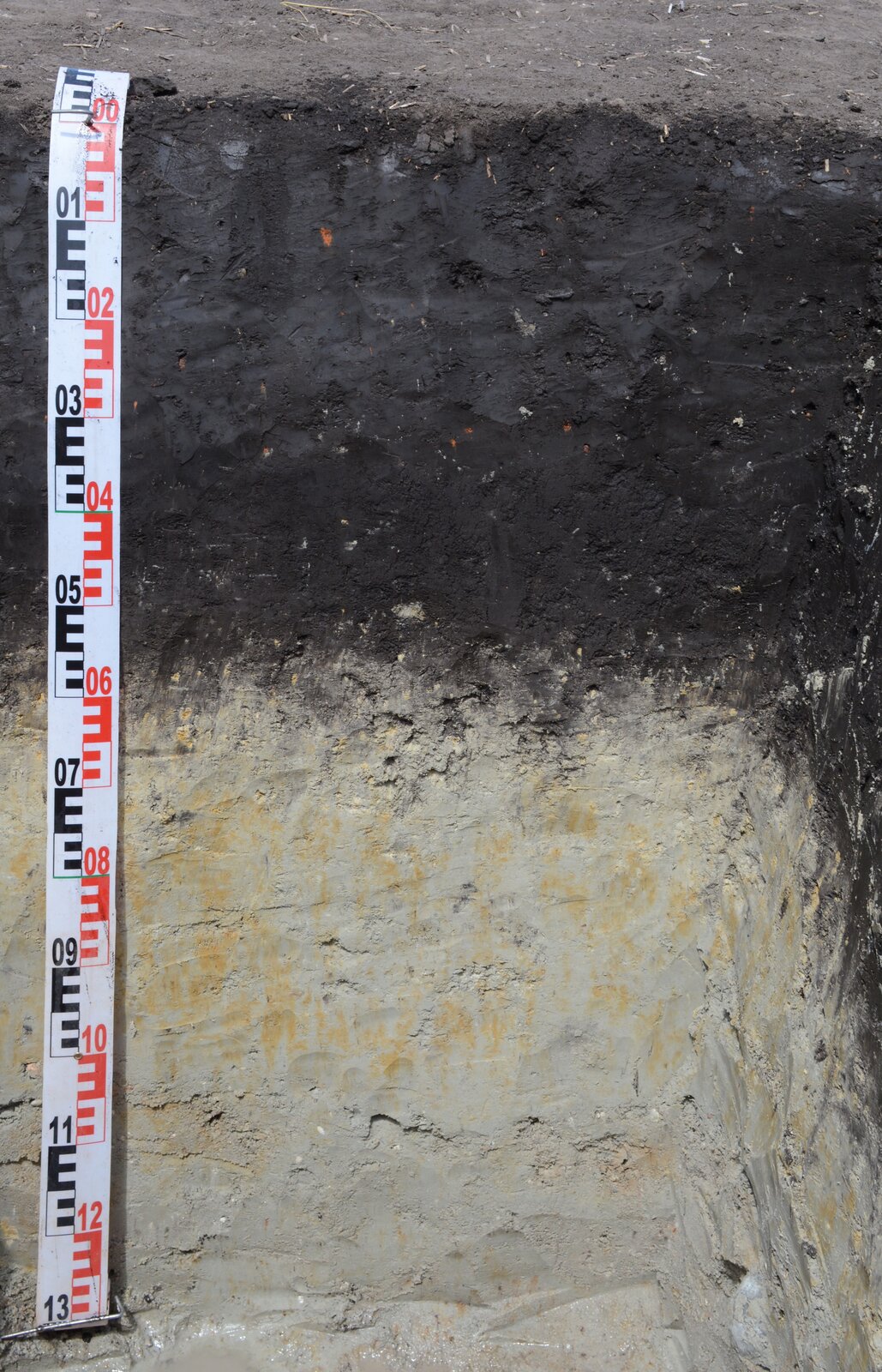 Fotografia przedstawia przekrój przez czarne ziemie, czyli ciemne, żyzne gleby powstałe pod wpływem wód gruntowych. Pierwsza warstwa gleby poczynając od powierzchni ma czarny odcień, głębiej występuje gleba w kolorze jasnożółtym i kremowym. Do przekroju przyłożona jest biało – czerwona taśma obrazująca głębokość przekroju – ma on 13 cm. 