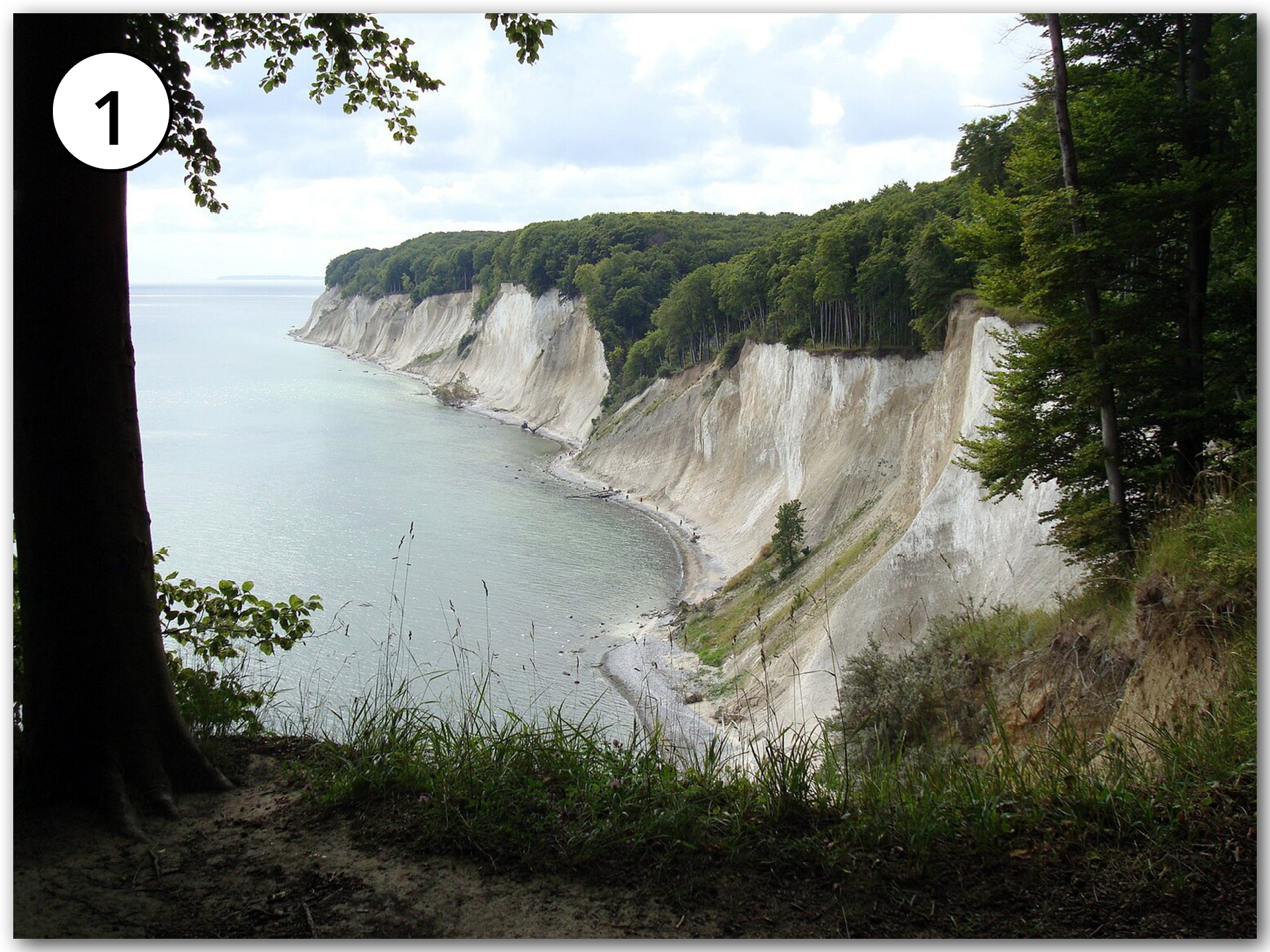 Grafika przedstawia widok na wysoki klif przy morzu. Szczyt klifu porośnięty  jest drzewami.
