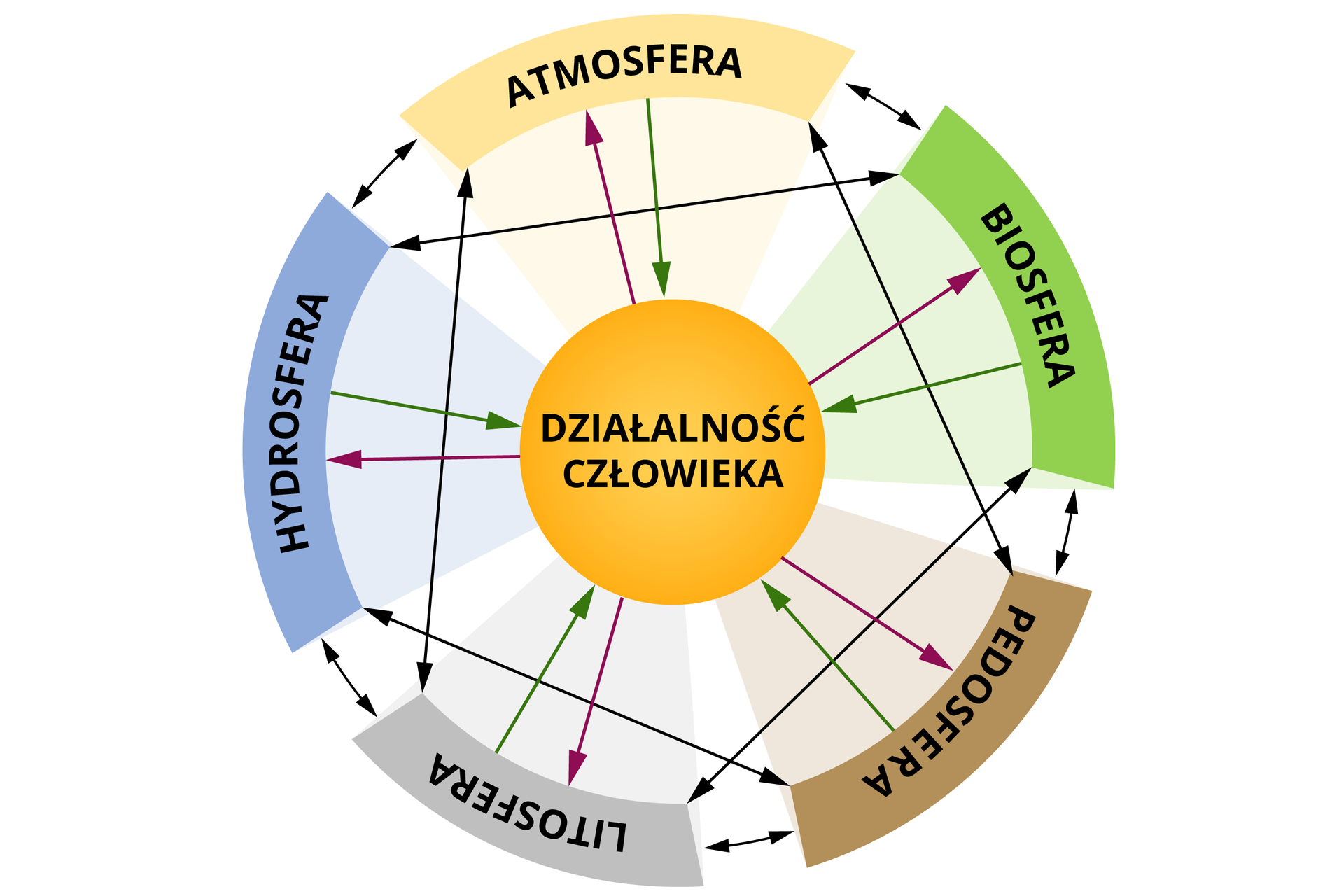 Schemat przedstawia zależności pomiędzy działalnością człowieka a biosferą, pedosferą, litosferą, hydrosferą, atmosferą. Działania człowieka wpływają na biosferę, pedosferę litosferę, hydrosferę, atmosferę i odwrotnie. Dodatkowo sfery te wpływają na siebie wzajemnie. 