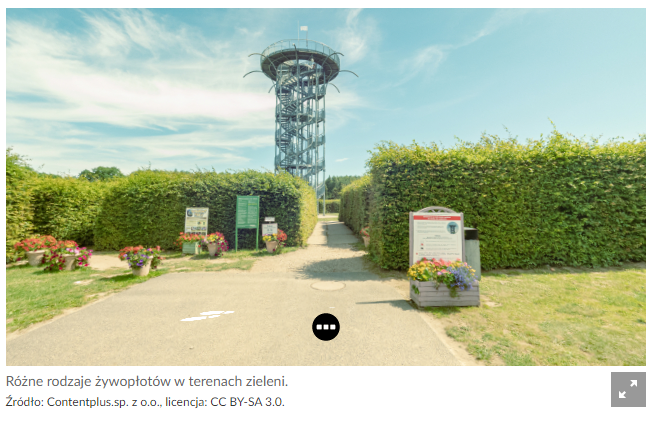 Widok planszy głównej, od której rozpoczyna się wycieczka