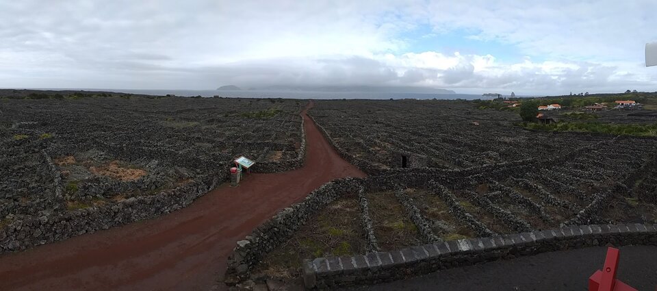 Panorama winnic na wyspie Pico (Azory): widok na rozległe pola wulkaniczne podzielone niskimi kamiennymi murkami, z czerwonymi drogami, nielicznymi zabudowaniami z czerwonymi dachami po prawej stronie i oceanem w tle pod zachmurzonym niebem.