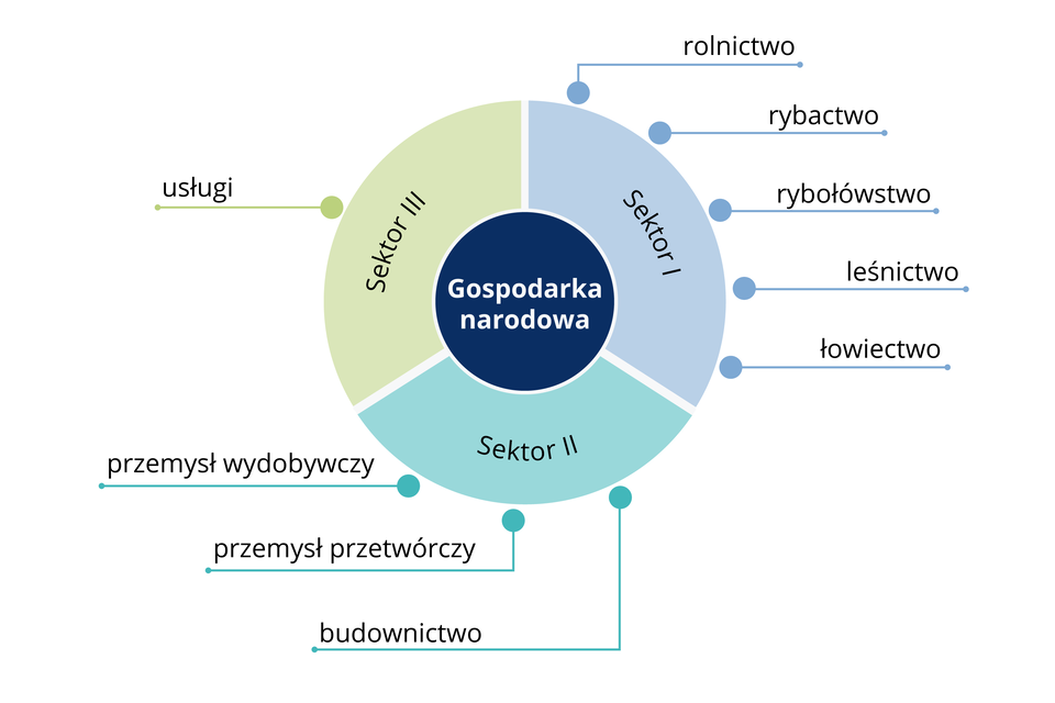 Wykres kołowy przedstawia podział gospodarki narodowej na sektory. Sektor I – rolnictwo, rybactwo, rybołówstwo, leśnictwo, łowiectwo. Sektor II – budownictwo, przemysł przetwórczy, przemysł wydobywczy. Sektor III - usługi. 