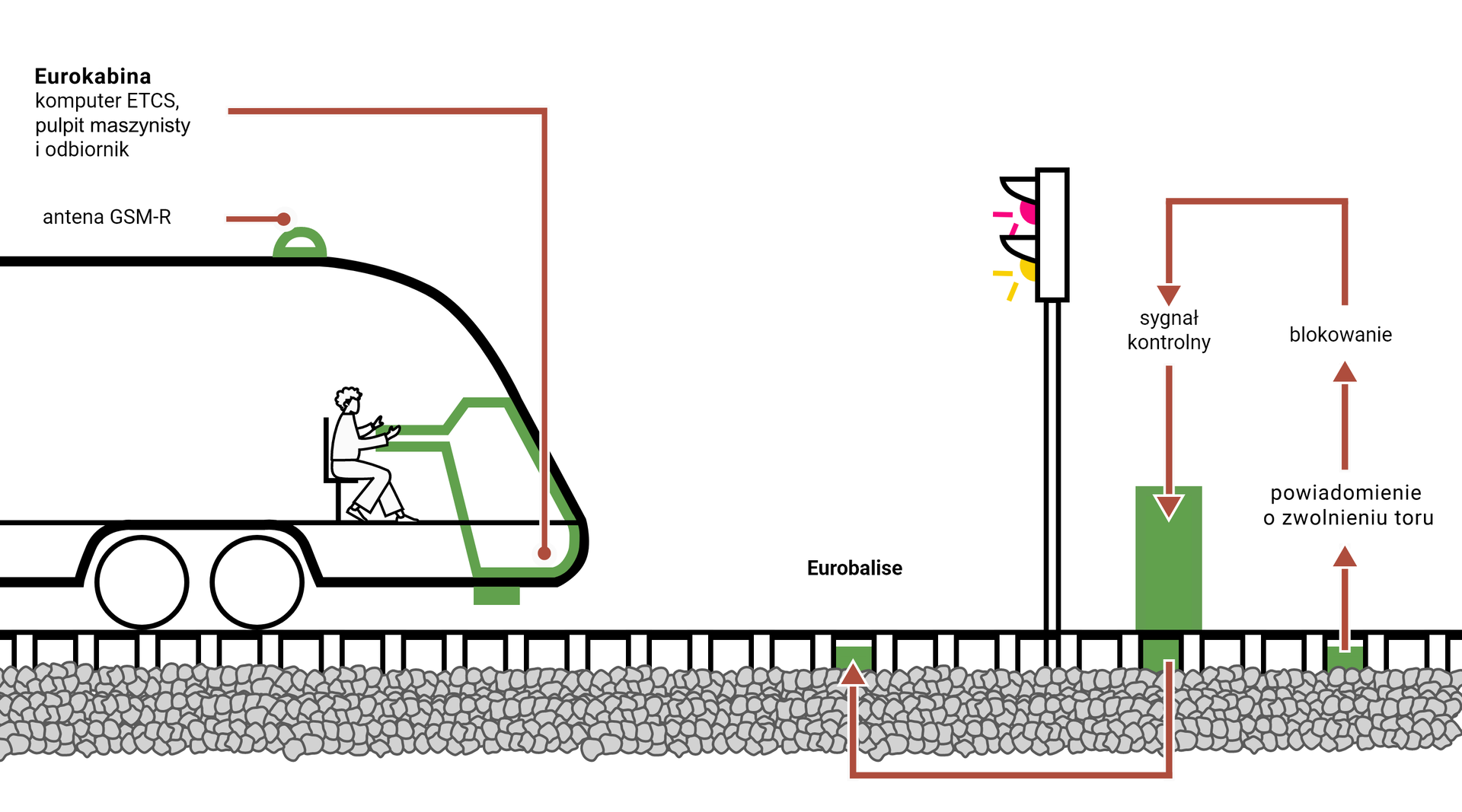 Grafika przedstawia poziom pierwszy systemu E Te Ce eS . Na grafice znajduje się przekrój lokomotywy poruszającej się po torze. Na przodzie lokomotywy znajduje się pulpit zaznaczony na zielono, przy którym siedzi maszynista. Pulpit ten jest podpisany: Eurokabina, komputer E Te Ce eS, pulpit maszynisty i odbiornik. Na dachu lokomotywy znajduje się symbol anteny w kolorze zielonym, jest on podpisany antena Gie eS eM myślnik R. Przed lokomotywą znajduje się semafor, mruga czerwone i żółte światło. Przed semaforem zaznaczono na zielono fragment toru, fragment ten podpisano Eurobalise. Za semaforem zaznaczono jeszcze dwie eurobalisy. Z eurobalisy znajdującej się dalej od semafora wychodzi strzałka do napisu: powiadomienie o zwolnieniu toru, następna strzałka wskazuje na napis blokowanie, następna idzie do napisu sygnał kontrolny, a ta strzałka prowadzi do zielonego prostokąta znajdującego się nad torem w miejscu, gdzie znajduje się druga eurobalisa. Z tego fragmentu prowadzi strzałka do eurobalisy znajdującej się przed semaforem. 
