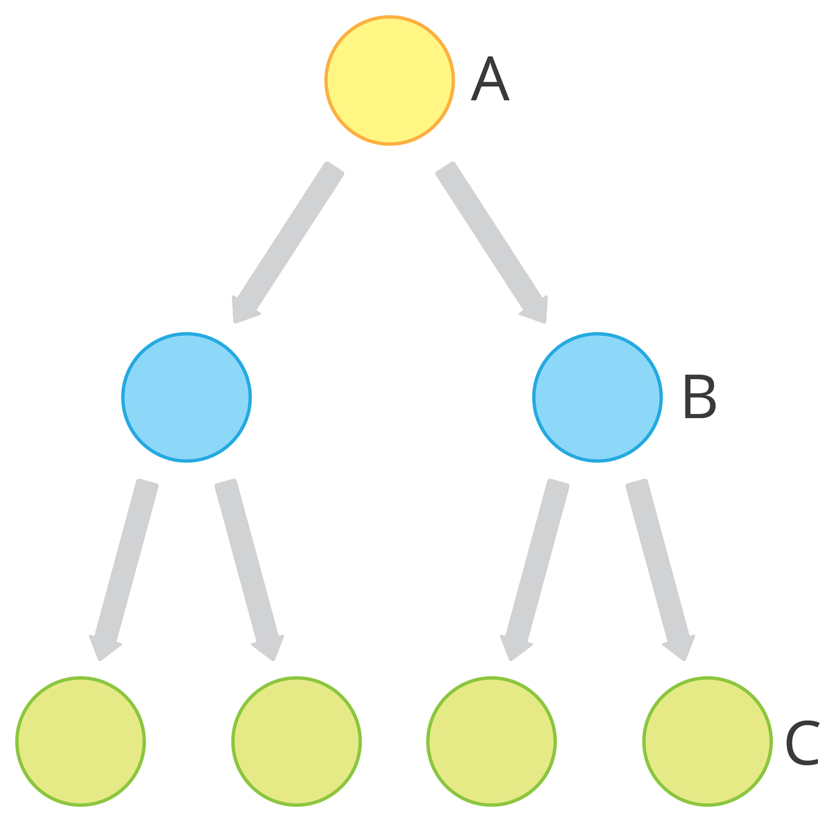 Schemat przedstawia mejozę. U góry znajduje się żółte koło oznaczone literą A, od niego odchodzą dwie strzałki do dwóch niebieskich kółek oznaczonych literą B. Od każdego niebieskiego kółka odchodzą dwie strzałki do zielonych kół, oznaczonych literą C.