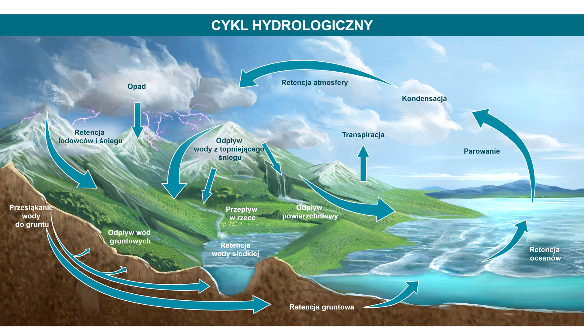 Schemat przedstawia cykl hydrologiczny. Na schemacie widoczne są górskie szczyty, spływające po nich rzeki, ocean oraz przekrój przez grunty. Z chmury pada deszcz. Opad trafia na szczyty górskie i przesiąka do gruntu. Z gruntu następuję też odpływ wód gruntowych do oceanu oraz zbiornika wody słodkiej. Dalej z gruntu  następuje retencja gruntowa. W kolejnym etapie woda z opadu trafia do oceanu gdzie następuje retencja oceanów. Woda z oceanu paruje, unosi się do atmosfery gdzie następuje jej kondensacja a dalej retencja atmosfery. W kolejnym kroku nad szczytami górskimi następuje retencja lodowców i śniegu. Woda spływa zboczami szczytów górskich. To odpływ wody z topniejącego śniegu. Woda ta spływa do zbiornika wodnego w dolinie, między szczytami górskimi. Tam następuje retencja wody słodkiej. Część wody spływa po zboczach szczytów górskich wprost do oceany, to odpływ powierzchniowy. Część wody spływająca po zboczach szczytów górskich transpiruje z powrotem do atmosfery. 