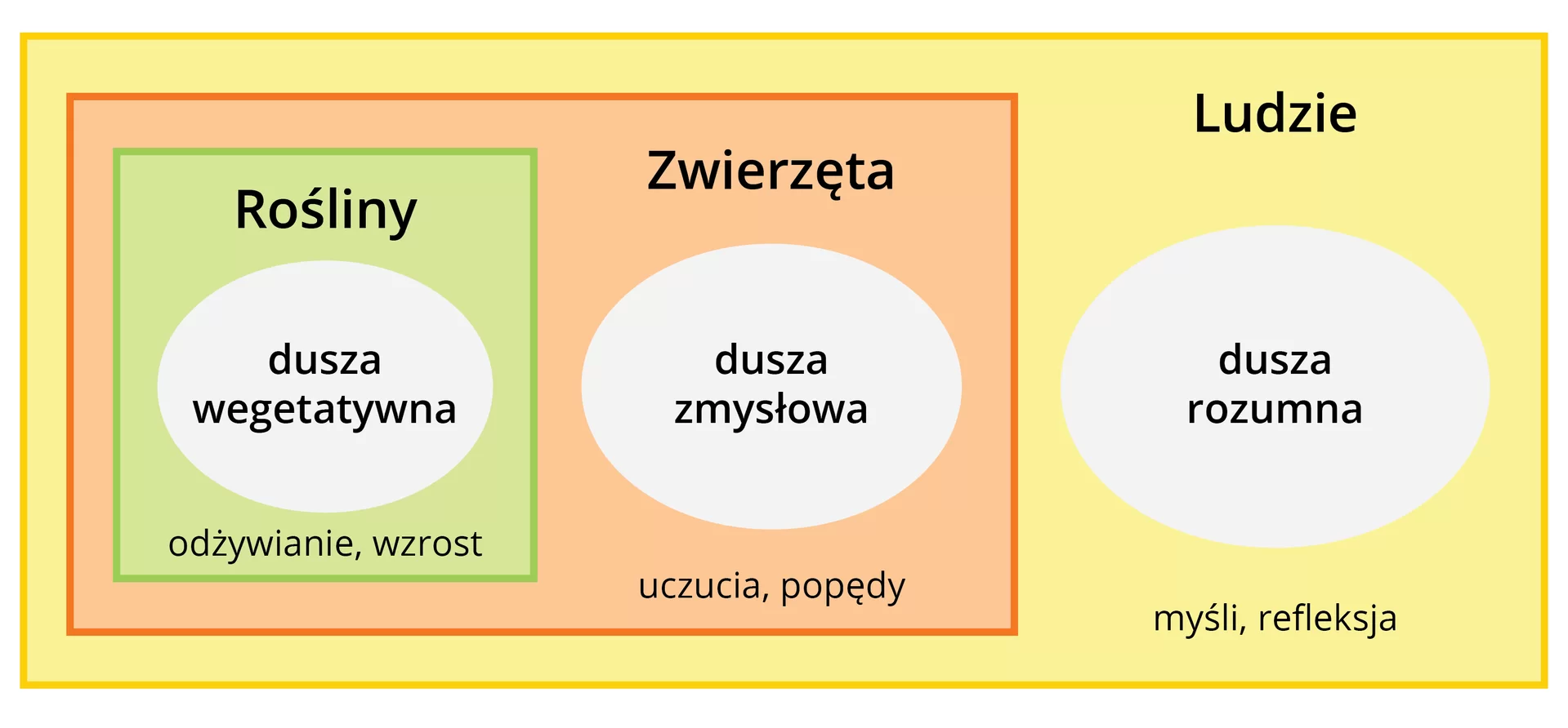 Ilustracja prezentuje hierarchię dusz. Składa się z trzech typów dusz w postaci zawierających się zbiorów. Najmniejszy z nich reprezentuje rośliny, mające duszę wegetatywną lub odżywczą, która składa się z mocy wzrostu i odżywiania. Większy zbiór zawierający w sobie rośliny, to zbiór reprezentujący zwierzęta, które mają ponadto moc uczucia i popędów — mają duszę zmysłową. Największy zbiór, zawierający w sobie pozostałe, to zbiór odpowiadający ludziom, którzy mają duszę rozumną, charakteryzującą się myślą i refleksją.