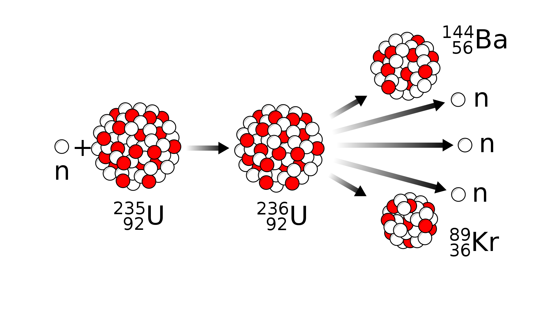 Na rysunku przedstawiona jest przykładowa reakcja rozszczepienia uranu-235. Rozszczepienie uranu-235 jest wyzwalane przez absorpcję poruszającego się neutronu o niskiej energii, zwanego neutronem powolnym (termicznym), po czym powstaje niestabilny izotop uran-236. W wyniku rozpadu uranu-236 powstają nowe jądra izotopów ciężkich pierwiastków baru-144 i kryptonu-89 oraz trzy neutrony. Bombardujący neutron oraz neutrony powstałe w reakcji oznaczone są małym białym kółkiem. Jądra biorące udział w reakcji zaznaczone są jako zbiory ściśle do siebie przylegających kółek białych i czerwonych. Poszczególne stadia reakcji oddzielone są od siebie strzałkami, wskazującymi kierunek przebiegu reakcji. Białe kółko podpisane n, obok znak plus, obok zbiór kółek podpisany w indeksie górnym 235, w indeksie dolnym 92, U. Od niego strzałka pozioma skierowana w prawo do zbioru kółek podpisanego w indeksie górnym 236, w indeksie dolnym 92, U. Od niego pięć strzałek w prawo do (od góry): zbioru kółek podpisanego w indeksie górnym 144, w indeksie dolnym 56, Ba; kółka białego podpisanego n, kółka białego podpisanego n, kółka białego podpisanego n, zbioru kółek podpisanego w indeksie górnym 89, w indeksie dolnym 36, Kr.