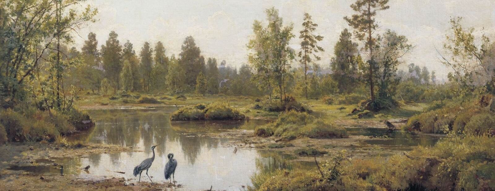 Obraz przedstawia dwie czaple stojące nad brzegiem bagna. Jedna z nich wsuwa dziób pod skrzydła, druga stoi bokiem do oglądającego. Gdzieniegdzie z bagna wystają kępy roślin, krzaków, połamanych gałęzi. Dokoła widać różnej wielkości drzewa, krzaki, fragmenty polany, a dalej las. Niebo jest przysłonięte jasnymi chmurami. 