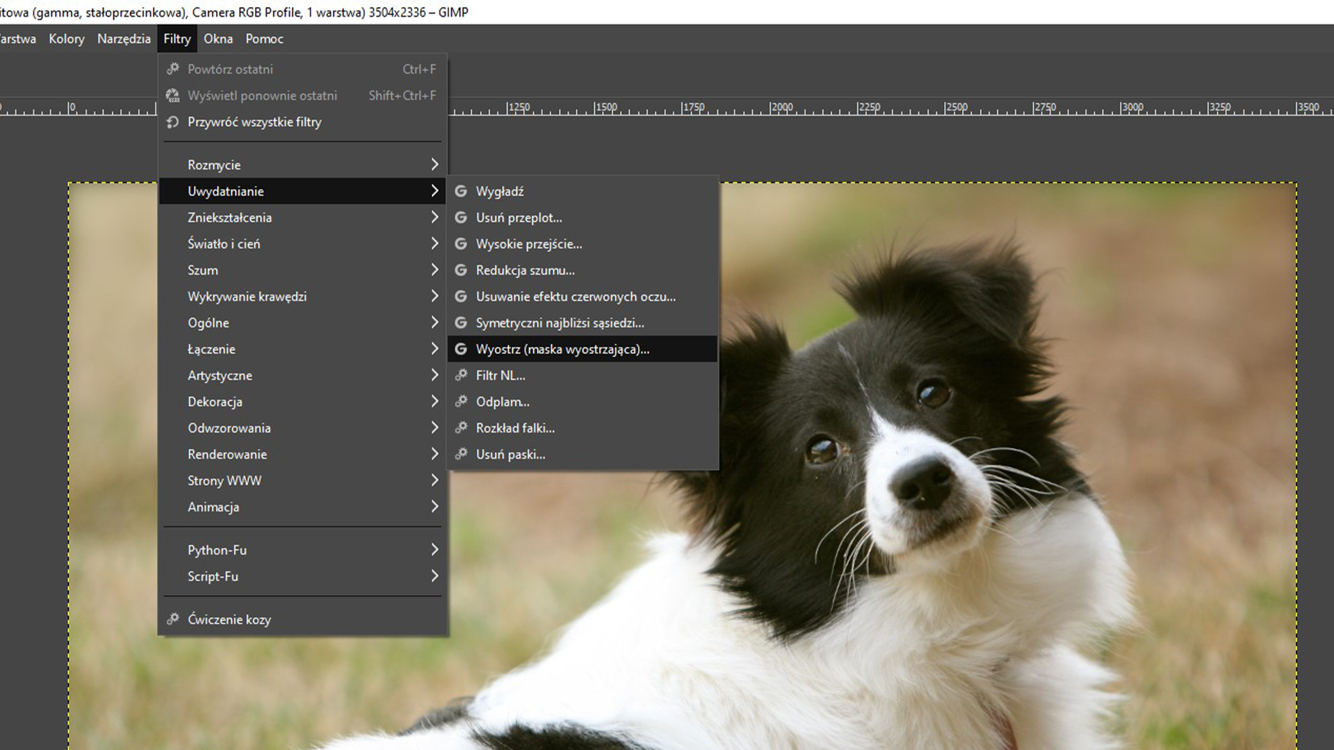 Ilustracja przedstawia okno programu. Z menu wybrano opcję Filtry. Następnie z listy wybrano: Uwydatnianie i kolejno: Wyostrz (maska wyostrzająca). W obszarze roboczym jest zdjęcie czarno‑białego psa.  