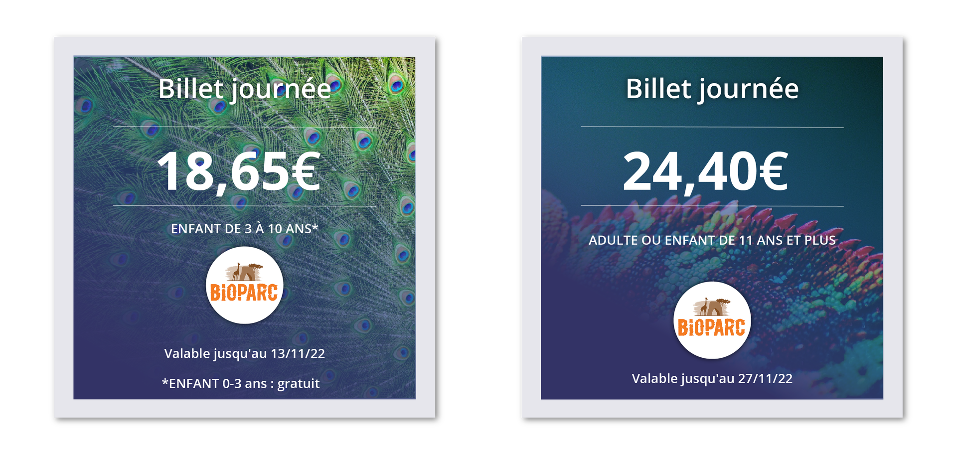 Grafika przedstawia dwa bilety wstępu do parku. Na pierwszym bilecie znajdują się następujące informacje: Billet journée 18,65€ ENFANT DE 3 À 10 ANS* BIOPARC Valable jusqu'au 13/11/22 *ENFANT 0‑3 ans : gratuit Na drugim bilecie znajdują się następujące informacje: Billet journée 24,40€ ADULTE OU ENFANT DE 11 ANS ET PLUS BIOPARC Valable jusqu'au 27/11/22