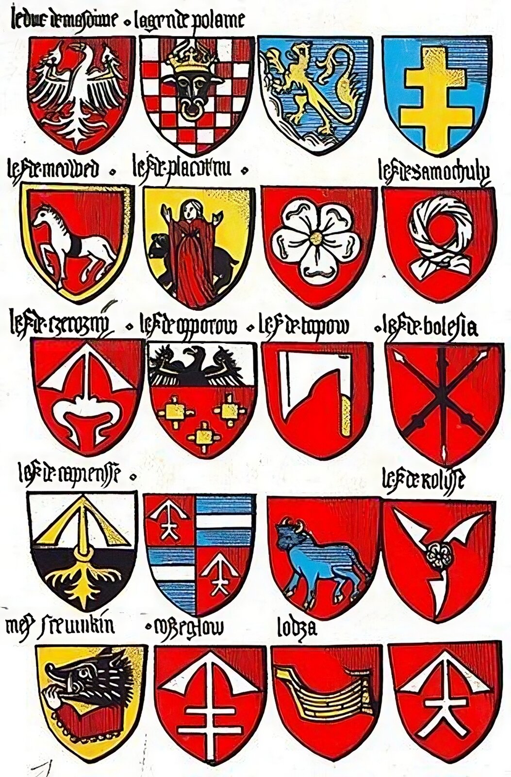 Ilustracja przedstawia stronę z kodeksu zawierającego wizerunki dwudziestu herbów rycerstwa polskiego. Są one umieszczone w pięciu rzędach, po cztery w każdym. W drugim od góry rzędzie po lewej stronie umieszczony jest herb Stary koń (Starykoń). Przedstawia on zwróconego w lewo konia z czarnym popręgiem na czerwonym tle.