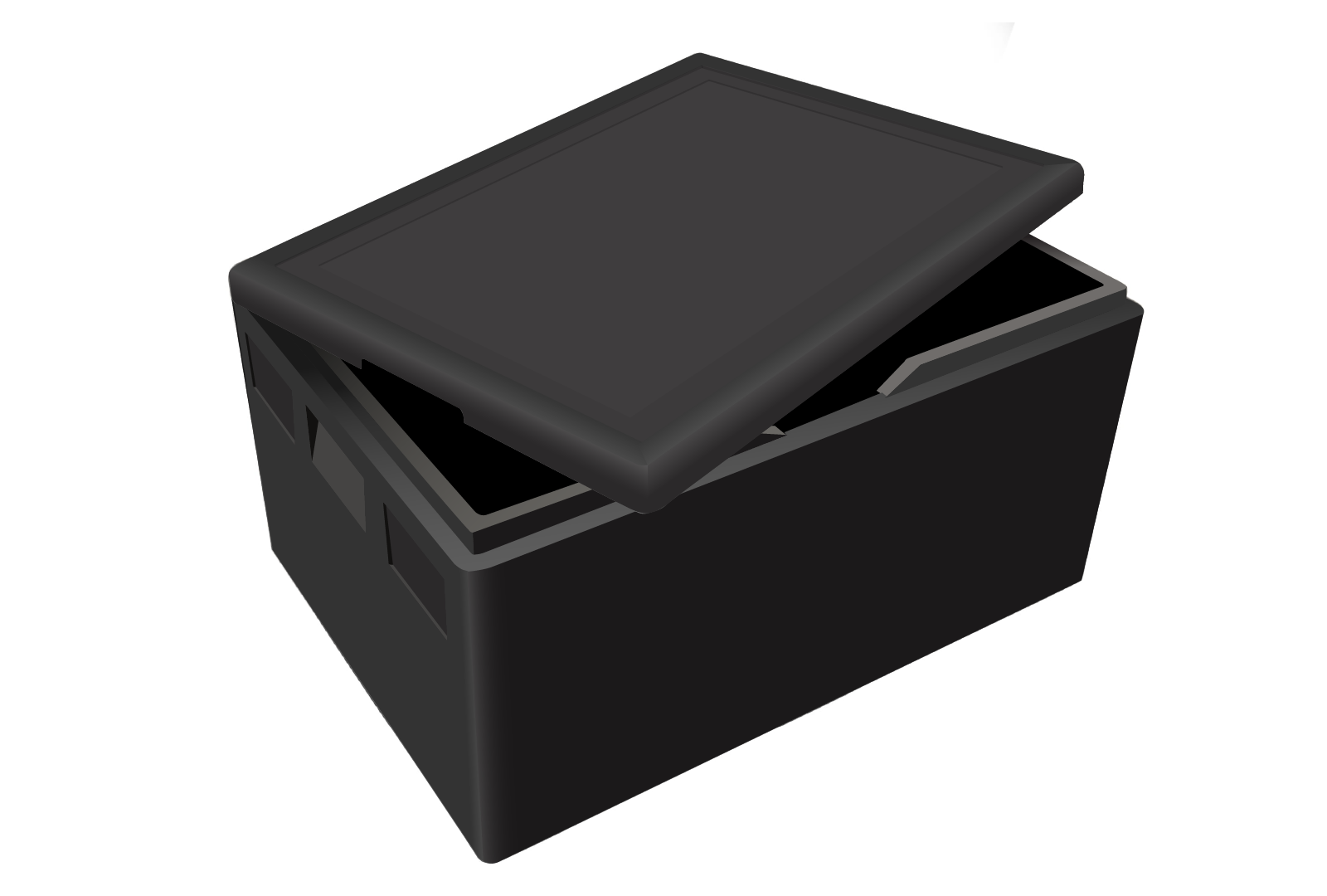 Na zdjęciu znajduje się otwarta czarna skrzynka, którą jest pojemnik termoizolacyjny.