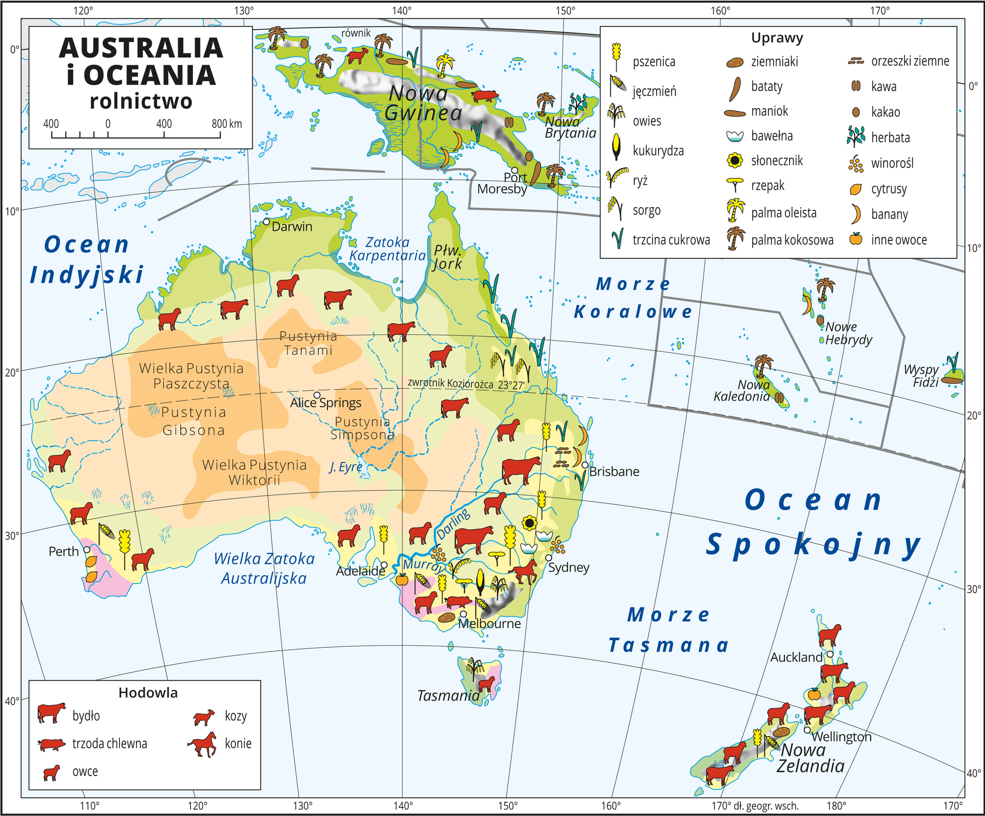 Ilustracja przedstawia mapę rolnictwa Australii i Oceanii. Na mapie sygnaturami przedstawiono główne uprawy. W centrum i na wschodzie Australii pustynie i półpustynie (brak upraw). Dookoła sawanna (hodowla bydła, owiec i kóz). Na wschodnim wybrzeżu tereny uprawne (pszenica, jęczmień, owies, kukurydza, ryż, sorgo, trzcina cukrowa, ziemniaki, orzeszki ziemne) i hodowla (bydło, trzoda chlewna, owce, kozy i konie). Na najdalej wysuniętych na południe krańcach kontynentu uprawa cytrusów i innych owoców. Na Nowej Gwinei uprawa batatów, bananów, kawy, kakao, palm oleistych i kokosowych. Na Nowej Zelandii przeważa hodowla owiec i kóz. Na mapie południki i równoleżniki. Dookoła mapy w białej ramce opisano współrzędne geograficzne co dziesięć stopni. W legendzie umieszczono i opisano kolory użyte na mapie.