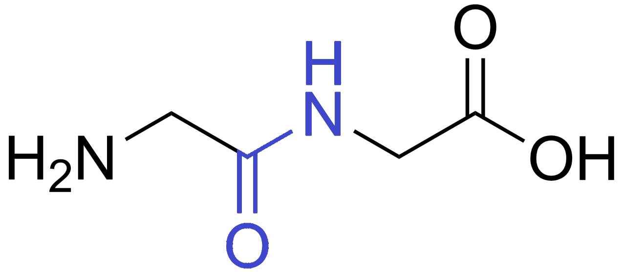 Schemat przedstawia wzór strukturalny dipeptydu jakim jest glicyloglicyna. Wiązanie peptydowe łączy grupę aminową jednego aminokwasu z grupą karboksylową drugiego aminokwasu.