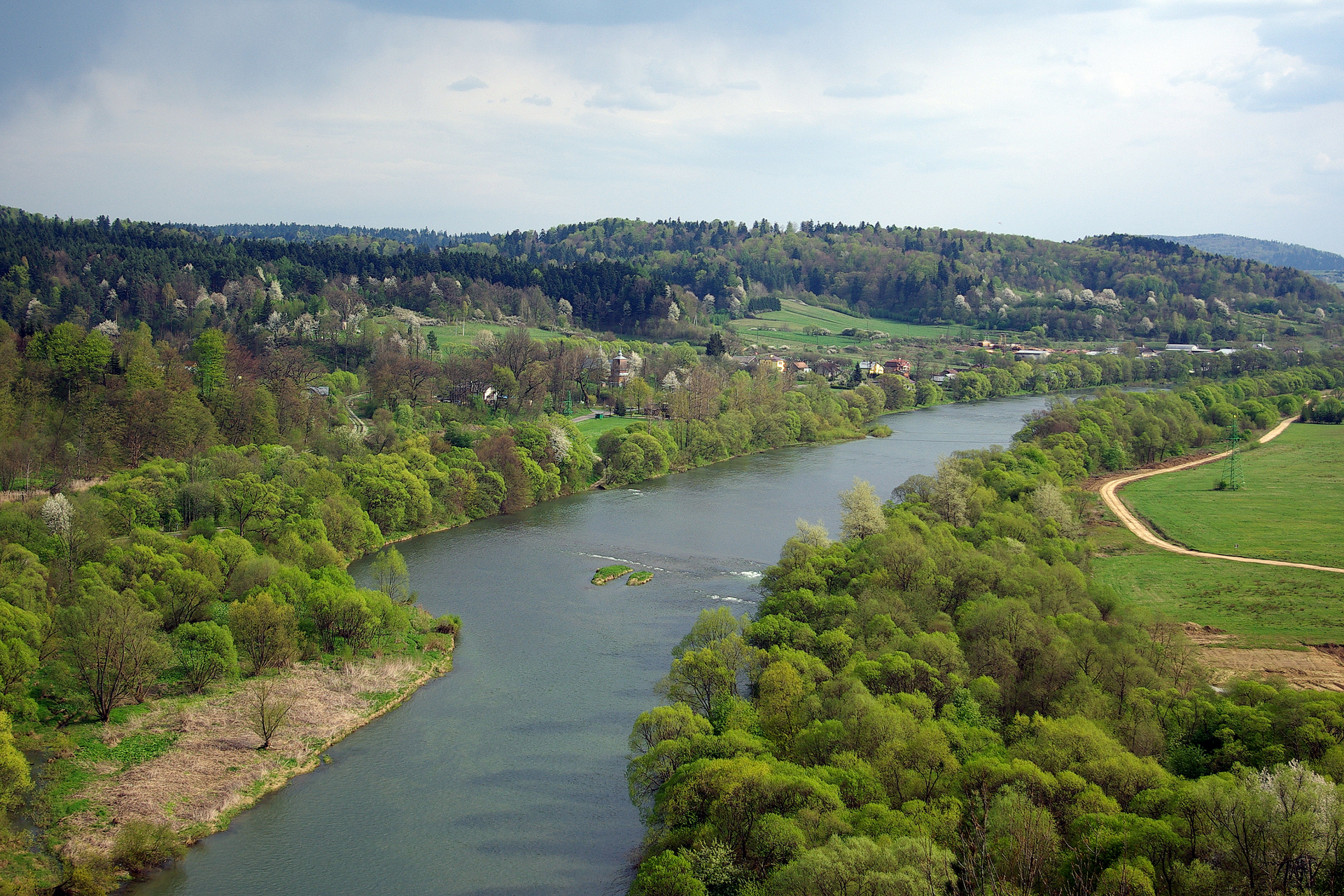 Fotografia barwna zrobiona z pozycji lotu ptaka przedstawiająca środkowy bieg rzeki dla którego, charakterystyczną cechą są zakola i starorzecza oraz roślinność przybrzeżna. Rzeka ma szerokie koryto przecinające teren pagórkowaty.