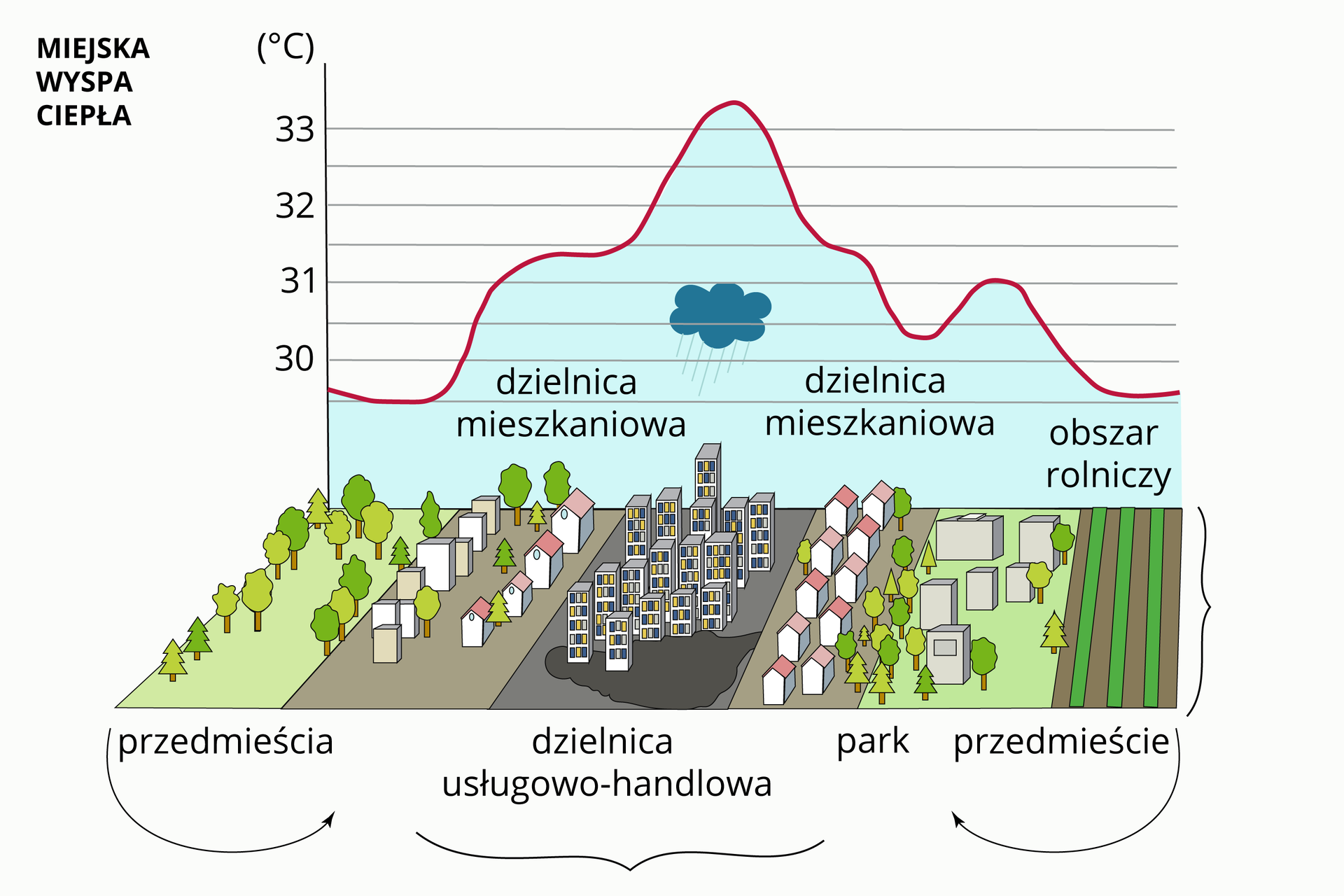 Grafika przedstawiająca miejską wyspę ciepła. W centrum gęsta zabudowa z wieżowcami, po bokach dzielnice domów mieszkalnych o mniejszym zagęszczeniu, dalej przedmieścia, parki. Temperatura wzrasta w kierunku centrum, opada wraz ze zmniejszeniem gęstości zabudowy, najniższa nad terenami zielonymi na przedmieściach.