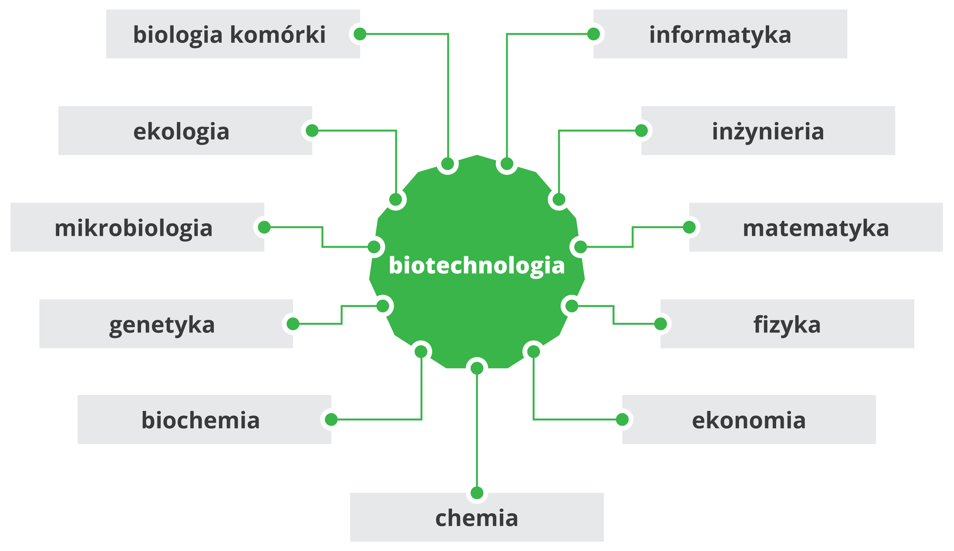 Grafika przedstawia umieszczony w środku napis biotechnologia, od prawej strony odchodzą kolejne napisy w podanej kolejności: informatyka, inżynieria, matematyka, fizyka, ekonomia, chemia, biochemia, genetyka, mikrobiologia, ekologia, biologia komórki.