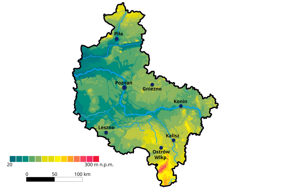 Mapa hipsometryczna województwa wielkopolskiego. Na mapie kolorami zaznaczono wysokości poszczególnych obszarów województwa. W północnej części wysokość wynosi około 100 metrów nad poziomem morza. Podobnie jest w części południowej województwa. Poniżej Ostrowa Wielkopolskiego jest miejsce z wysokością około 300 metrów nad poziomem morza. Na pozostałym obszarze Wielkopolski dominuje płaski teren od 20 do 100 metrów nad poziomem morza.  