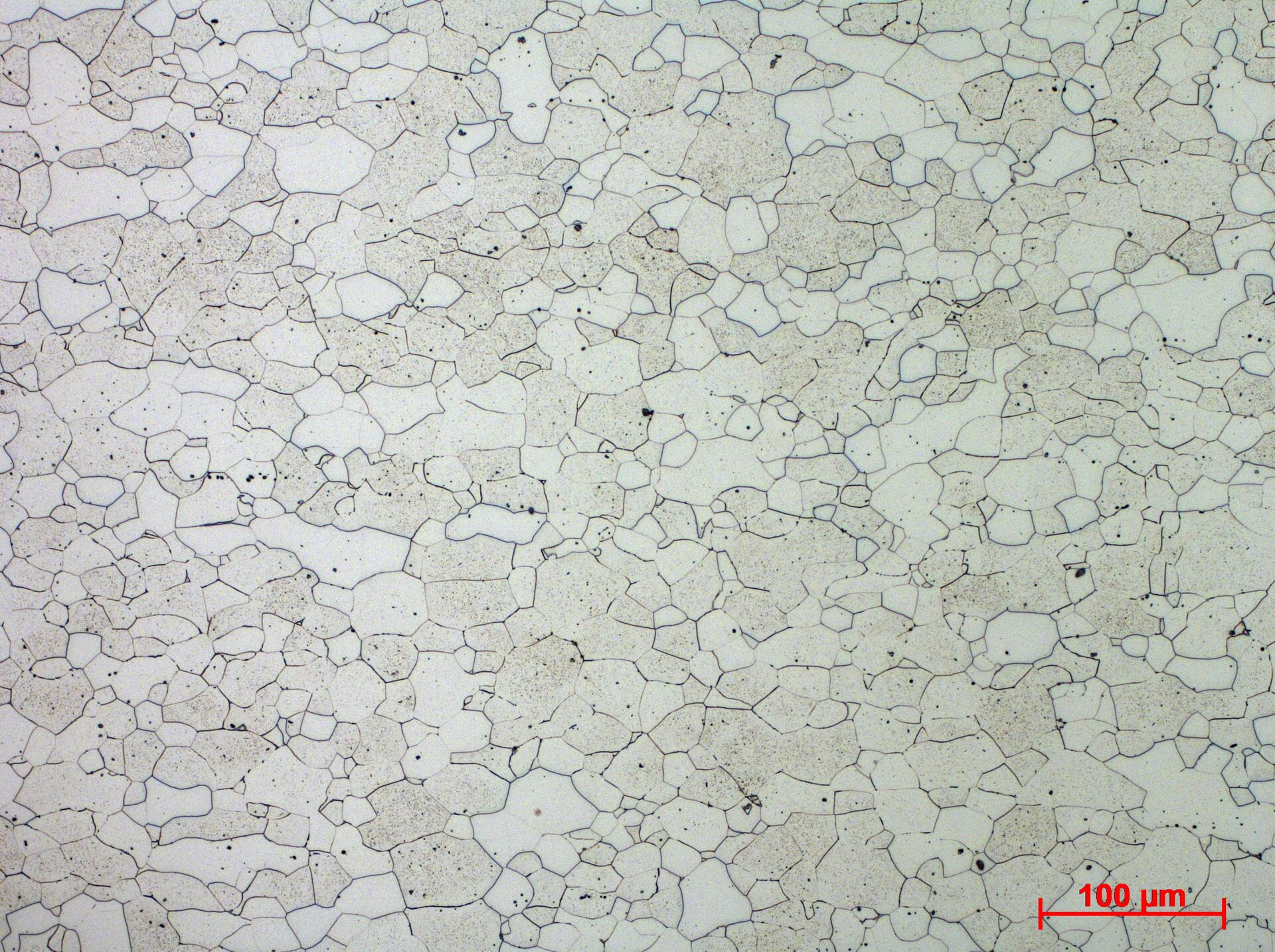 Żelazo Armco o zawartości węgla mniejszej od 0,02%
Ferryt z wytrawionymi granicami ziaren - powiększenie 20x