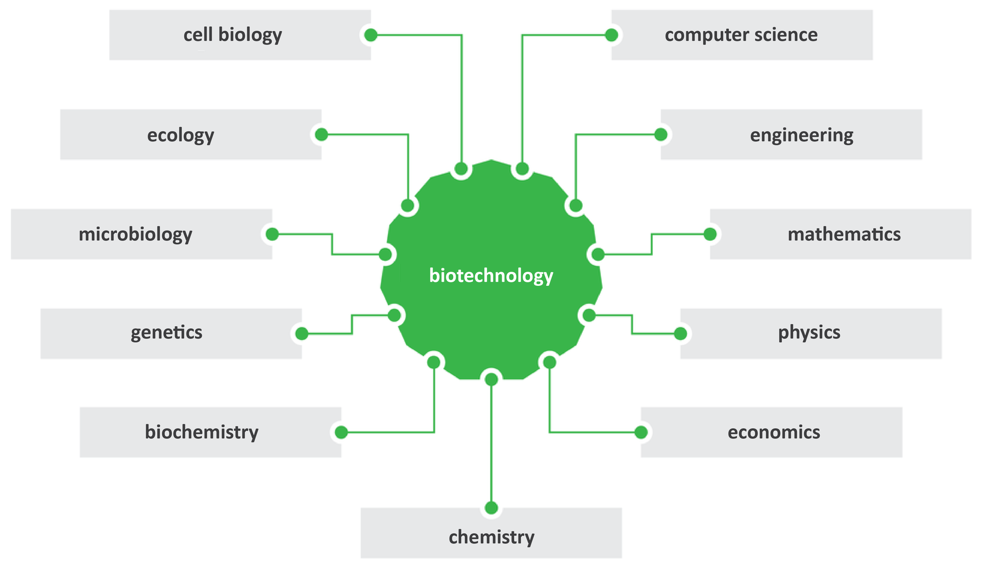 Grafika przedstawia umieszczony w środku napis biotechnologia, dookoła, w podanej kolejności: cell biology, ecology, microbiology, genetics, biochemistry, chemistry, economics, physics, mathematics, engineering, computer science