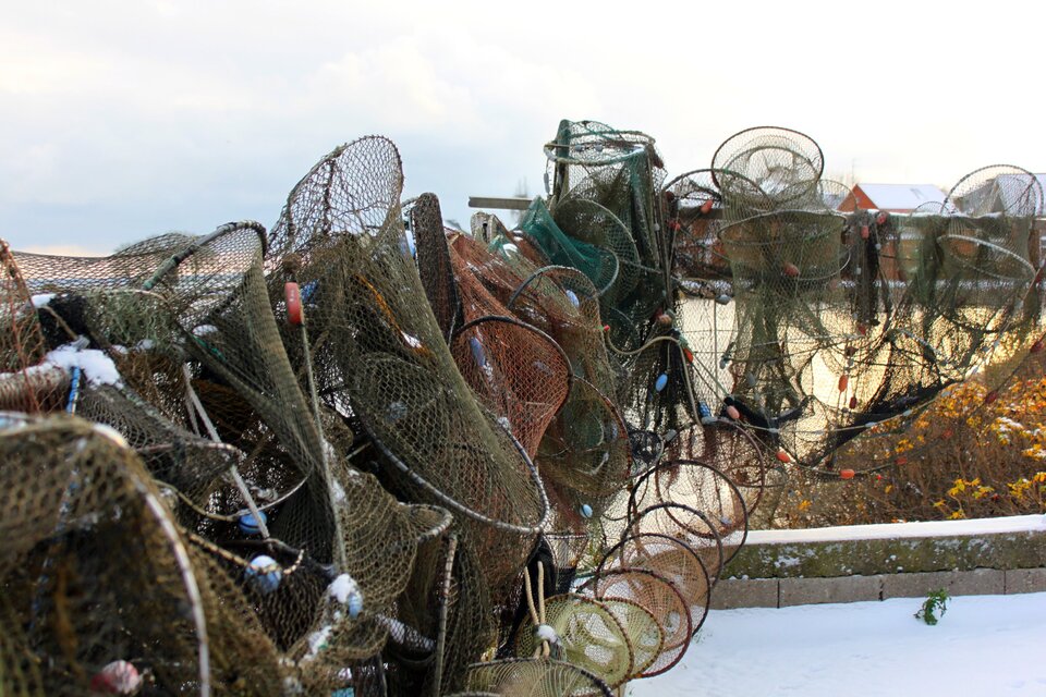 Ilustracja przedstawia rozwieszone na plaży sieci rybackie.