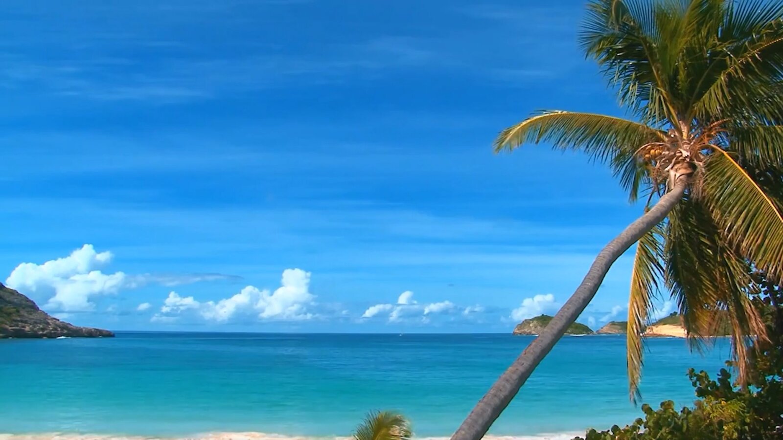   7. Im Urlaub lernt man schneller als sonst.

Obwohl die Ferien nicht nur für unseren Körper, sondern auch für unser Gehirn eine Ruhezeit sind, ist man paradoxerweise gerade dann am aufnahmefähigsten. Unser Gehirn ist völlig entspannt und kann sich daher neues Wissen viel schneller und leichter aneignen. Dies kann zum Beispiel beim Erlernen einer Fremdsprache in einem anderen Land genutzt werden.

Ilustracja ukazuje urok tropikalnej zatoki. W pierwszym planie zwraca uwagę pochylone palmowe drzewo.