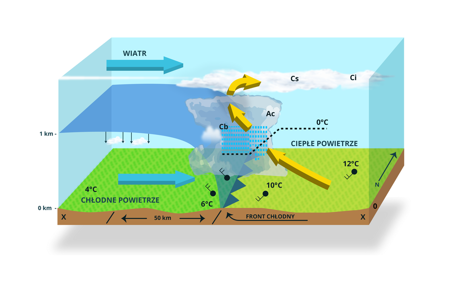 Schemat przedstawia front chłodny, czyli strefę, w której chłodne powietrze napiera na cieplejszą masę powietrza, wypychając ją do góry. Niebieskie strzałki skierowane w prawo wskazują kierunek przemieszczania się chłodnej masy powietrza. Natomiast czerwone strzałki skierowane pionowo w górę pokazują unoszenie się ciepłego powietrza, które ochładza się, prowadząc do kondensacji pary wodnej i powstawania chmur.
Na schemacie widoczne są następujące chmury:
- Cumulonimbus  (Cb) – znajduje się tuż przed linią frontu i jest oznaczony symbolem burzowej chmury z wyładowaniami atmosferycznymi. Jest to potężna chmura konwekcyjna przynosząca ulewne opady i burze.
- Altocumulus  (Ac) – położone wyżej, ponad obszarem oddziaływania frontu, oznaczone symbolem chmur kłębiastych. Są to chmury średniego piętra, które często pojawiają się przed nadchodzącymi zmianami pogodowymi.
- Stratocumulus  (Sc) – znajdują się za frontem chłodnym, oznaczone symbolem chmur warstwowo‑kłębiastych. Mogą pokrywać niebo po przejściu frontu i zwiastować ustabilizowanie pogody.
