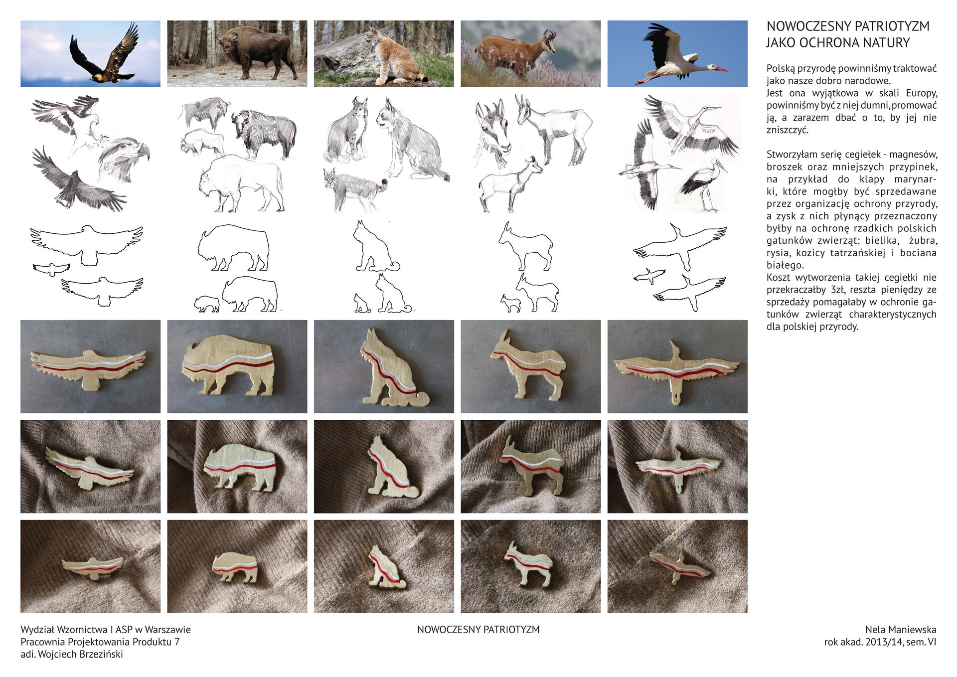 Kliknij, aby powiększyć Ilustracja przedstawia projekt patriotycznych magnesów i przypinek w kształcie zwierząt. W pierwszym rzędzie od góry są zdjęcia: bielika, żubra, rysia, kozicy, bociana. W dwóch rzędach poniżej pod każdym ze zwierząt są jego szkice oraz obrysy szkiców, w kolejnych trzech rzędach są drewniane magnesy i przypinki. Każda ma w poprzek siebie namalowaną wstążkę w kolorach polskiej flagi. Obok projektów jest treść: Nowoczesny patriotyzm jako ochrona natury. Polską przyrodę powinniśmy traktować jako nasze dobro narodowe. Jest ona wyjątkowa w skali Europy, powinniśmy być z niej dumni, promować ją, a zarazem dbać o to by jej nie zniszczyć. Stworzyłam serię cegiełek - magnesów, broszek oraz mniejszych przypinek, na przykład do klapy marynarki, które mogłyby być sprzedawane przez organizację ochrony przyrody, a zysk z nich płynący przeznaczony byłby na ochronę rzadkich polskich gatunków zwierząt: bielika, żubra rysia, kozicy tatrzańskiej i bociana białego. Koszt wytworzenia takiej cegiełki nie przekraczałby 3 zł, reszta pieniędzy ze sprzedaży pomagałaby w ochronie gatunków zwierząt charakterystycznych dla polskiej przyrody.