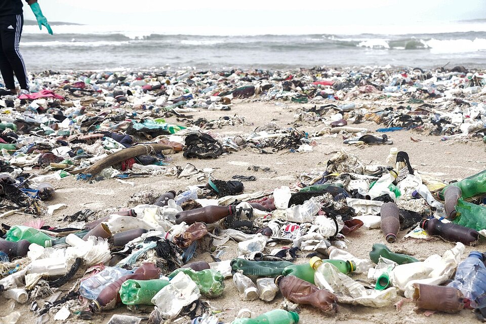 Stosy plastikowych odpadów wyrzuconych na piaszczystą plażę; wśród śmieci widać butelki, pojemniki i fragmenty tworzyw sztucznych, które zanieczyszczają nadmorskie środowisko