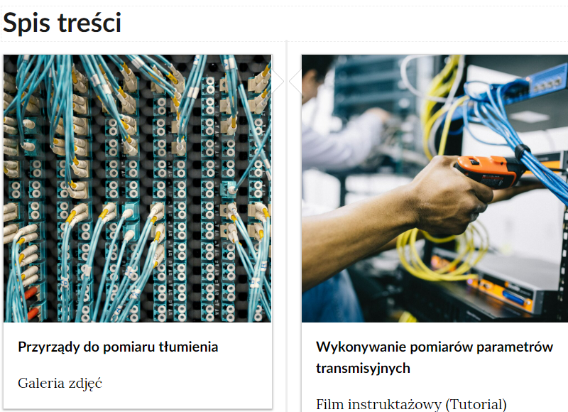 Przykładowy wygląd spisu treści, na zdjęciu widoczne dwa kafelki składające się ze zdjęć opatrzonych podpisami, które odnoszą się do poszczególnych sekcji materiału.