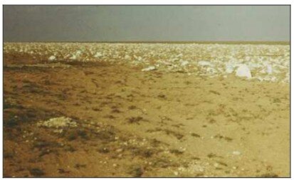 Zdjęcie przedstawia duży obszar pozbawiony roślinności. Krajobraz jest surowy. 