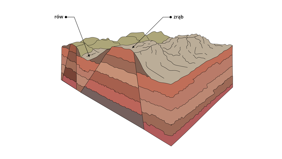 Ilustracja przedstawia przekrój przez góry zrębowe. Zaznaczono zrąb. Ma płaski wierzchołek. To struktura ograniczona z dwóch stron uskokami i wypiętrzona wzdłuż nich względem otoczenia. Obniżenie terenu to rów. 