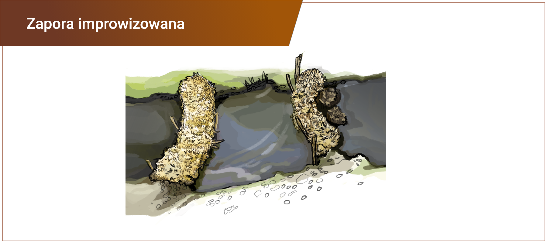 Grafika w ramce z podpisem: zapora improwizowana. Przedstawia dwie zapory ustawione w poprzek rzeki złożone z liści i gałęzi.