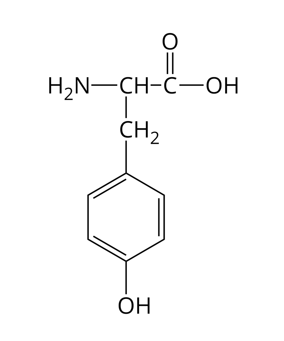 Wzór półstrukturalny tyrozyny. Do grupy H indeks dolny, dwa, koniec indeksu dolnego, N z prawej strony przyłączona jest grupa C H. Od niej odchodzą dwa wiązania pojedyncze. Pierwsze skierowane jest w prawo do atomu węgla. Od niego odchodzą dwa wiązania: podwójne w górę, prowadzące do atomu tlenu i pojedyncze w prawo do grupy O H. Drugie wiązanie odchodzące od grupy C H skierowane jest w dół i łączy się z grupą C H indeks dolny, dwa, koniec indeksu dolnego, od której odchodzi pojedyncze wiązanie w dół do cząsteczki benzenu. Zbudowana jest ona z sześciu atomów węgla, które znajdują się w wierzchołkach sześciokąta foremnego. Dodatkowo każdy z atomów węgla jest połączony z atomem wodoru. Od tej cząsteczki odchodzi jedno pojedyncze wiązanie w dół do grupy O H.