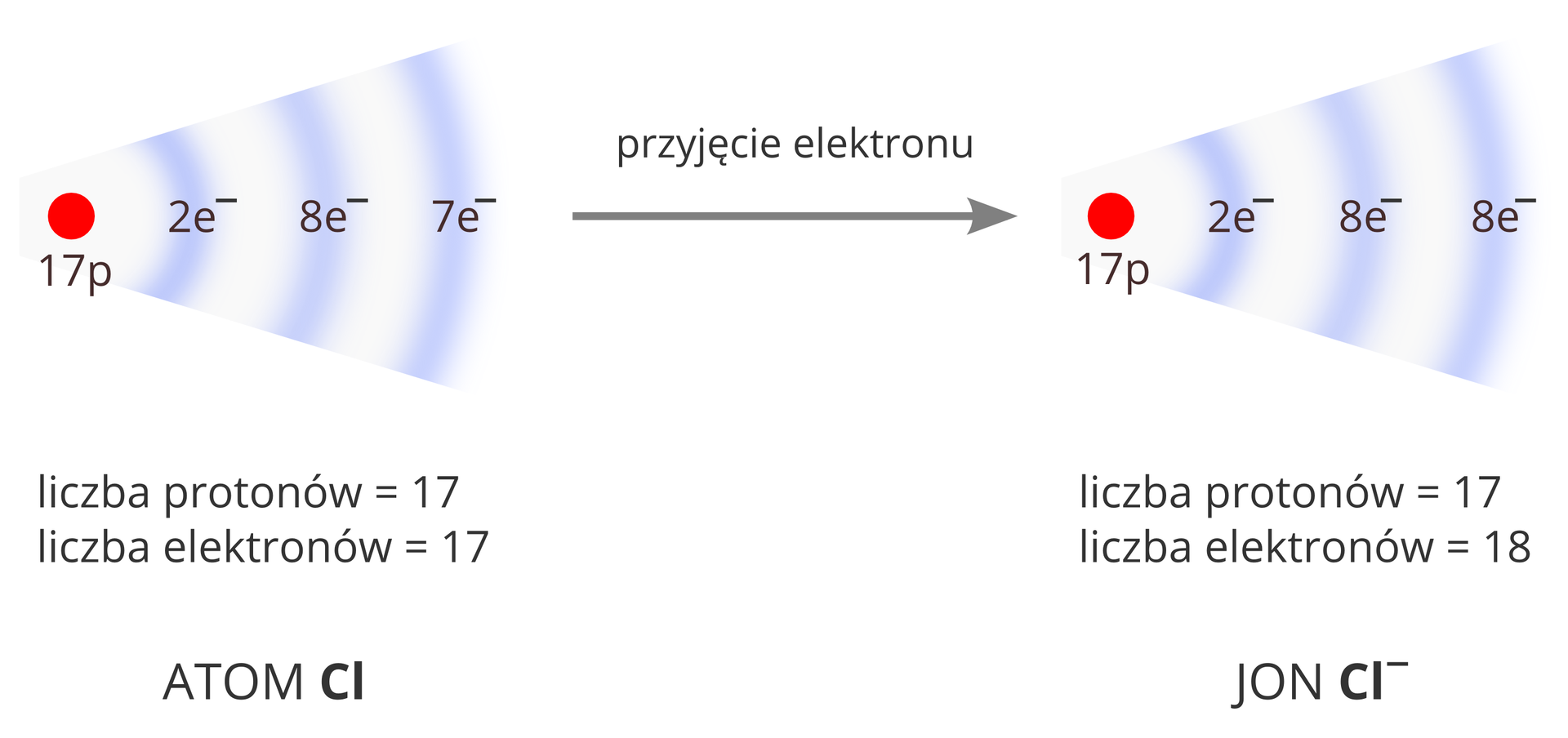 Ilustracja przedstawiająca schemat opisujący zmianę konfiguracji elektronowej atomu chloru podczas powstawania jonu. Po lewej stronie widoczny jest rysunek przedstawiający jądro atomu chloru w postaci czerwonego koła podpisanego siedemnaście p oraz towarzyszącego mu biało‑fioletowego wachlarza ilustrującego obecność trzech powłok elektronowych. Opisana jest też ich zawartość: dwa elektrony na pierwszej powłoce, osiem elektronów na drugiej powłoce i siedem elektronów na trzeciej powłoce. Rysunek podpisany jest następująco: liczba protonów równa siedemnaście, liczba elektronów równa siedemnaście. Atom Cl. Lewą stronę schematu z prawą łączy strzałka skierowana w prawo opisana przyjęcie elektronu. Po prawej stronie rysunek przedstawiający strukturę anionu chloru z trzema powłokami elektronowymi mającymi kolejno dwa, osiem i osiem elektronów. Rysunek podpisany jest następująco: liczba protonów równa siedemnaście, liczba elektronów równa osiemnaście. Jon Cl minus.