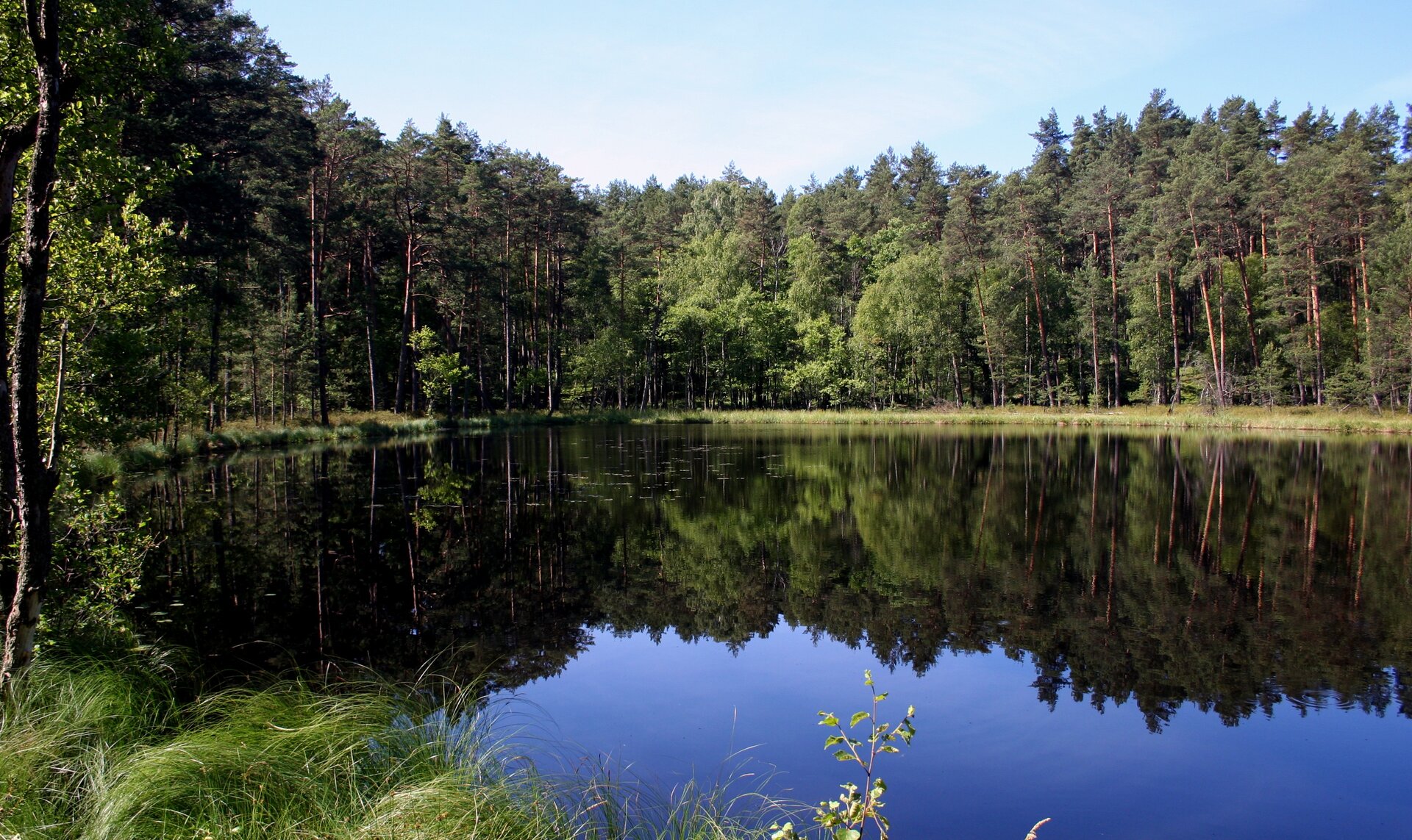 Na zdjęciu jezioro. Na drugim brzegu las.