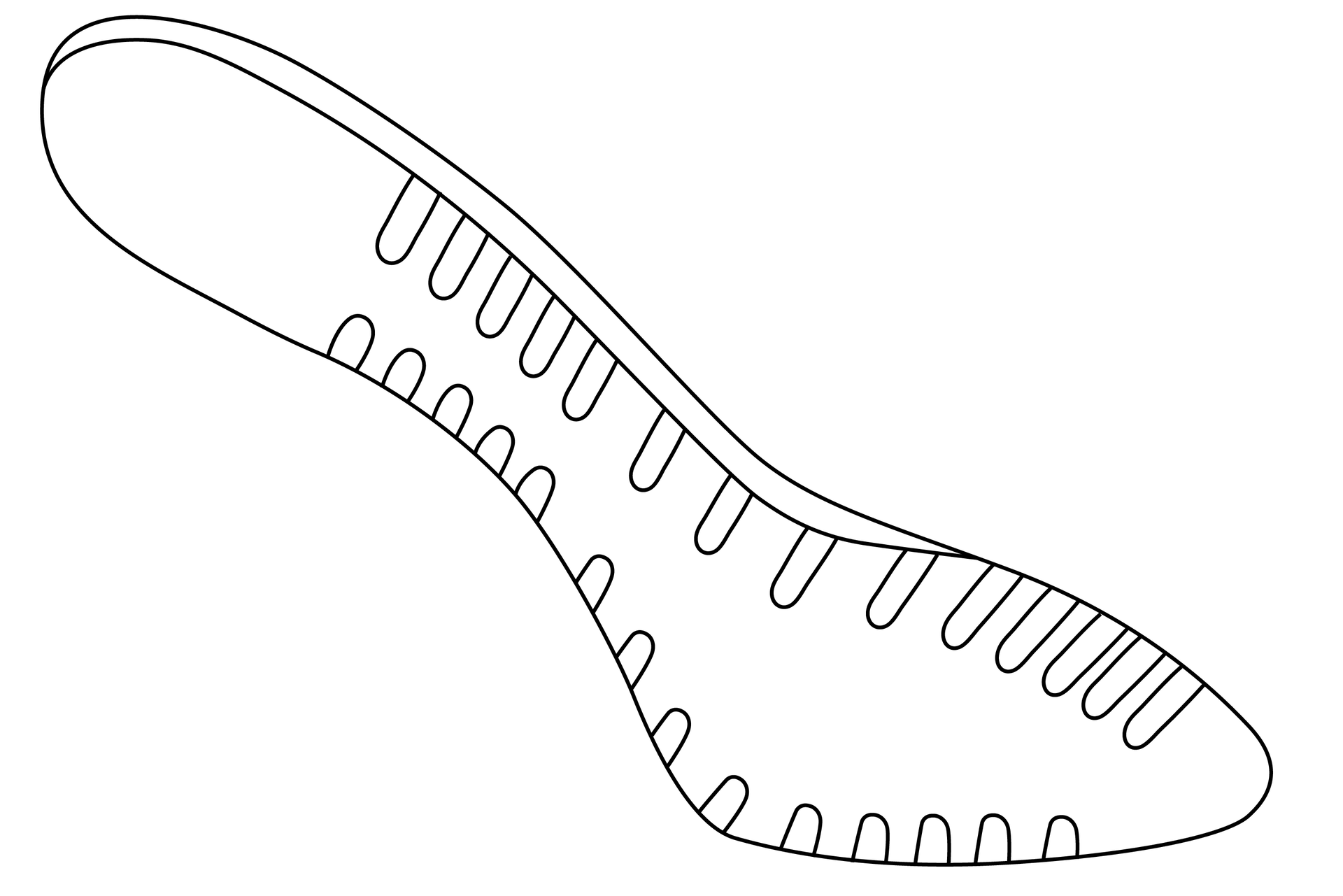 Grafika przedstawia kształt przypominający wąską podeszwę buta. Po obu stronach przy krawędziach znajdują się w szeregu liczne podłużne, drobne elementy.