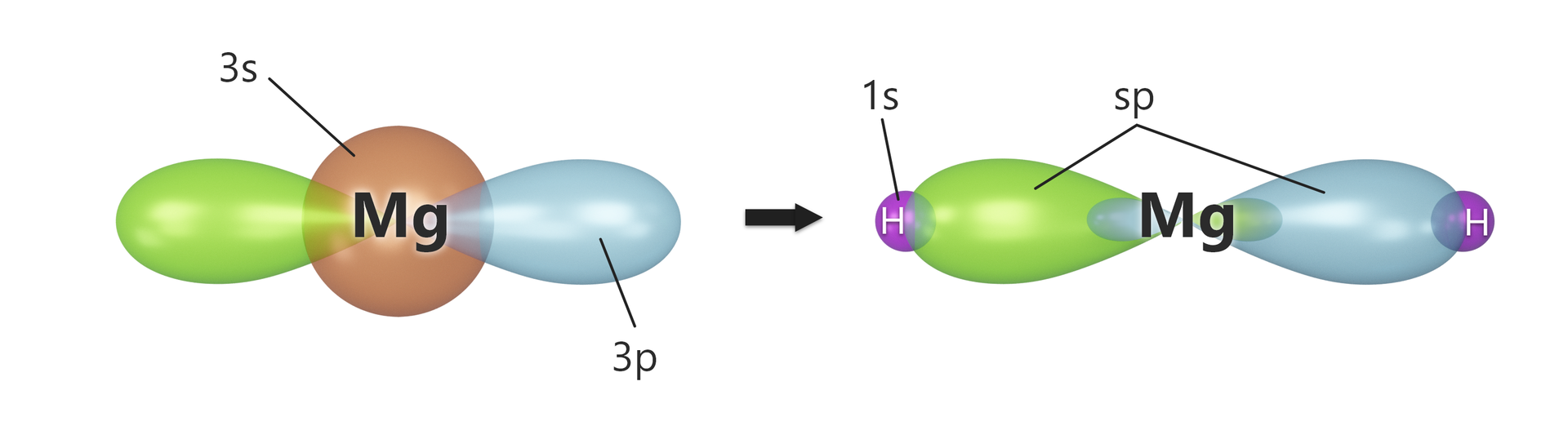 Ilustracja przedstawiająca orbitale 3 s i 3 p w atomie magnezu oraz orbitale po hybrydyzacja typu sp w wodorku magnezu (MgH2). Po prawej stronie symbol magnezu Mg, na który naniesiono kulę, która reprezentuje orbital 3 s oraz dwa poziomo usytuowane loby skierowane przewężeniem w kierunku jądra atomu, odpowiadające orbitalowi 3 p.  Strzałka w prawo, za strzałką struktura zhybrydyzowanego orbitalu typu sp w wodorku magnezu, która odpowiada dwóm parom lobów, których przewężenia skierowane są do jądra atomu, jedna para lobów to jeden orbital sp, który składa się z większego  i mniejszego lobu. Na końcach większych lobów, po prawej i po lewej stronie od jądra znajdują się orbitale s atomów wodoru.