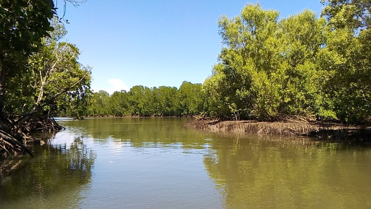 Fotografia. Na niej duża rzeka. Przy jej brzegach drzewa liściaste. W prawej części ilustracji znajduję się piaszczysty brzeg - tworzący zakole rzeki.