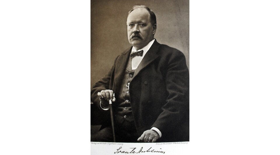 Portret przedstawia mężczyznę w średnim wieku. Siedzi wsparty ręką o laskę. Ubrany jest w marynarkę, surdut i muchę. Mężczyzna jest tęgi, ma krótkie włosy, nosi wąsy.