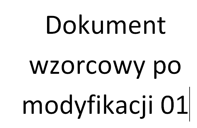 Przykładowy wypełniony formularz CEIDG-1