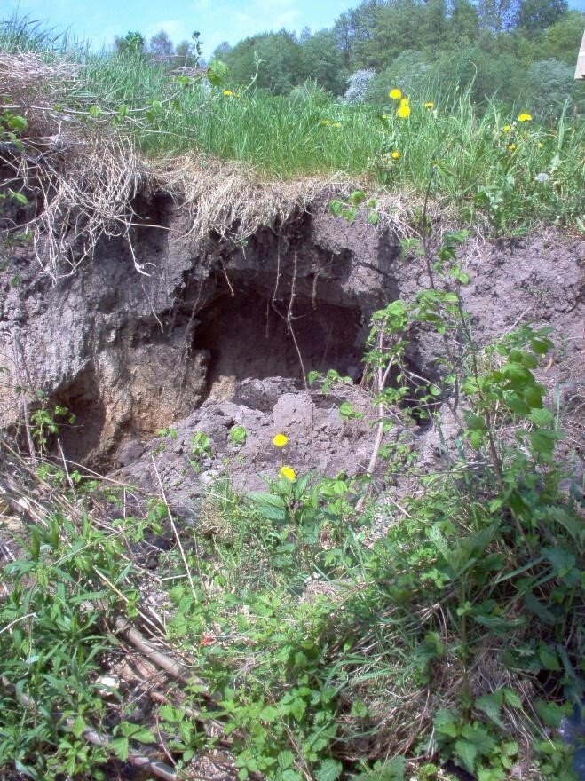 Fotografia przedstawia osuwisko. Wokół trawa, na spodzie usypana górka piasku i gałęzie. 