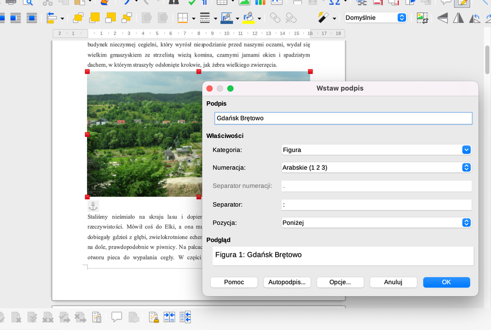 Zrzut ekranu przedstawia dokument tekstowy edytowany w LibreOffice Writer, do którego została wstawiona kolorowa fotografia panoramy dzielnicy Gdańsk Brętowo. Nad i pod obrazem widać fragmenty tekstu literackiego. Na zdjęciu przeważają zielone wzgórza, drzewa oraz budynki mieszkalne i gospodarcze, widoczne na tle łagodnego krajobrazu. Na pierwszym planie, po prawej stronie ekranu, otwarte jest okno dialogowe „Wstaw podpis”, w którym w polu tekstowym wpisano etykietę „Gdańsk Brętowo”. Pozostałe ustawienia pozwalają określić kategorie, numerację i format podpisu umieszczanego pod ilustracją.