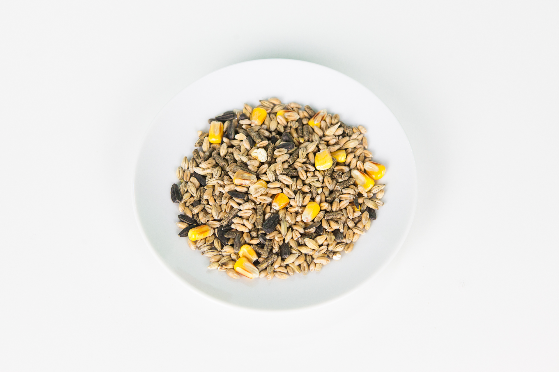 Pokarm dla gryzoni. Jest to mieszanina różnych nasion znajdująca się w misce. 