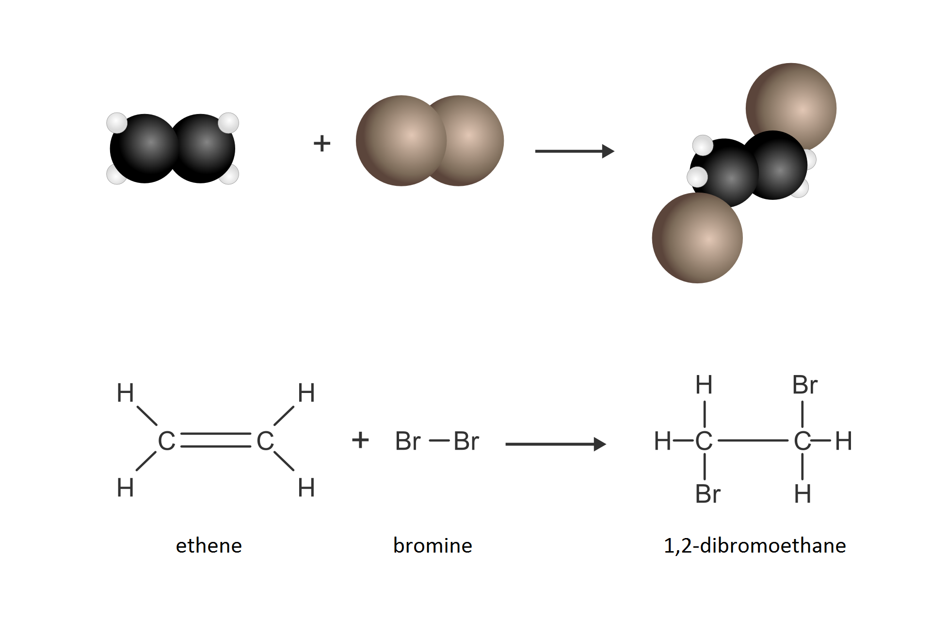 Schemat przedstawia zapis reakcji etenu z bromem za pomocą modeli oraz wzorów strukturalnych. Równanie reakcji: eten, ethene dodać brom, bromine strzałka w prawo jeden przecinek dwa dibromoetan, jeden przecinek dwa dibromoethane Cząsteczka etenu c dwa ha cztery reaguje z cząsteczką bromu be er dwa dając w wyniku reakcji cząsteczkę jeden dwa dibromoetanu.