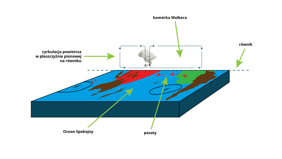 Na schemacie przedstawiono normalne warunki w Oscylacji Południowej. Po prawej stronie schematu jest Ameryka Południowa, po lewej Australia, pomiędzy nimi Ocean Spokojny. Pasaty wieją od strony Ameryki Południowej w kierunku Australii. Na schemacie zaznaczono równik, a nad nim po stronie Ameryki Południowej i Pacyfiku zaznaczono komórkę Walkera 
, w której cyrkulacja powietrza odbywa się zgodnie z ruchem wskazówek zegara. Po stronie Australii cyrkulacja odbywa się w płaszczyźnie pionowej na równiku, przeciwnie do ruchu wskazówek zegara. Pomiędzy komórką Walkera  a cyrkulacją powietrza w płaszczyźnie pionowej na równiku narysowano chmurę.    