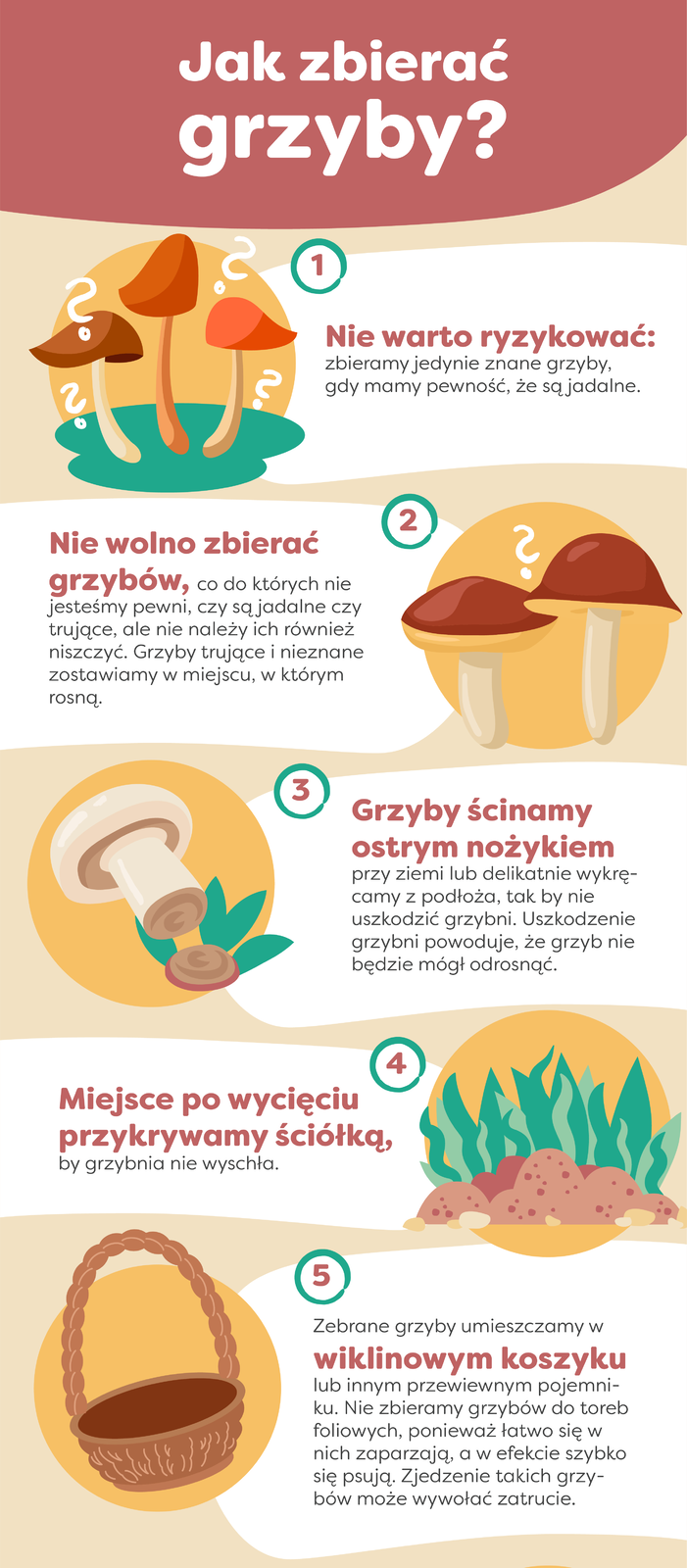 Na planszy widoczne są ilustracje różnokolorowych grzybów, brązowej ziemi z zieloną trawą oraz wiklinowego koszyka. Znajduje się tam również napis: Jak zbierać grzyby?
1. Nie warto ryzykować: zbieramy jedynie znane grzyby, gdy mamy pewność, że są jadalne.
2. Nie wolno zbierać grzybów, co do których nie jesteśmy pewni, czy są jadalne czy trujące, ale nie należy ich również niszczyć. Grzyby trujące i nieznane zostawiamy w miejscu, w którym rosną.
3. Grzyby ścinamy ostrym nożykiem przy ziemi lub delikatnie wykręcamy z podłoża, tak by nie uszkodzić grzybni. Uszkodzenie grzybni powoduje, że grzyb nie będzie mógł odrosnąć.
4. Miejsce po wycięciu przykrywamy ściółką, by grzybnia nie wyschła.
5. Zebrane grzyby umieszczamy w wiklinowym koszyku lub innym przewiewnym pojemniku. Nie zbieramy grzybów do toreb foliowych, ponieważ łatwo się w nich zaparzają, a w efekcie szybko się psuja, Zjedzenie takich grzybów może wywołać zatrucie.